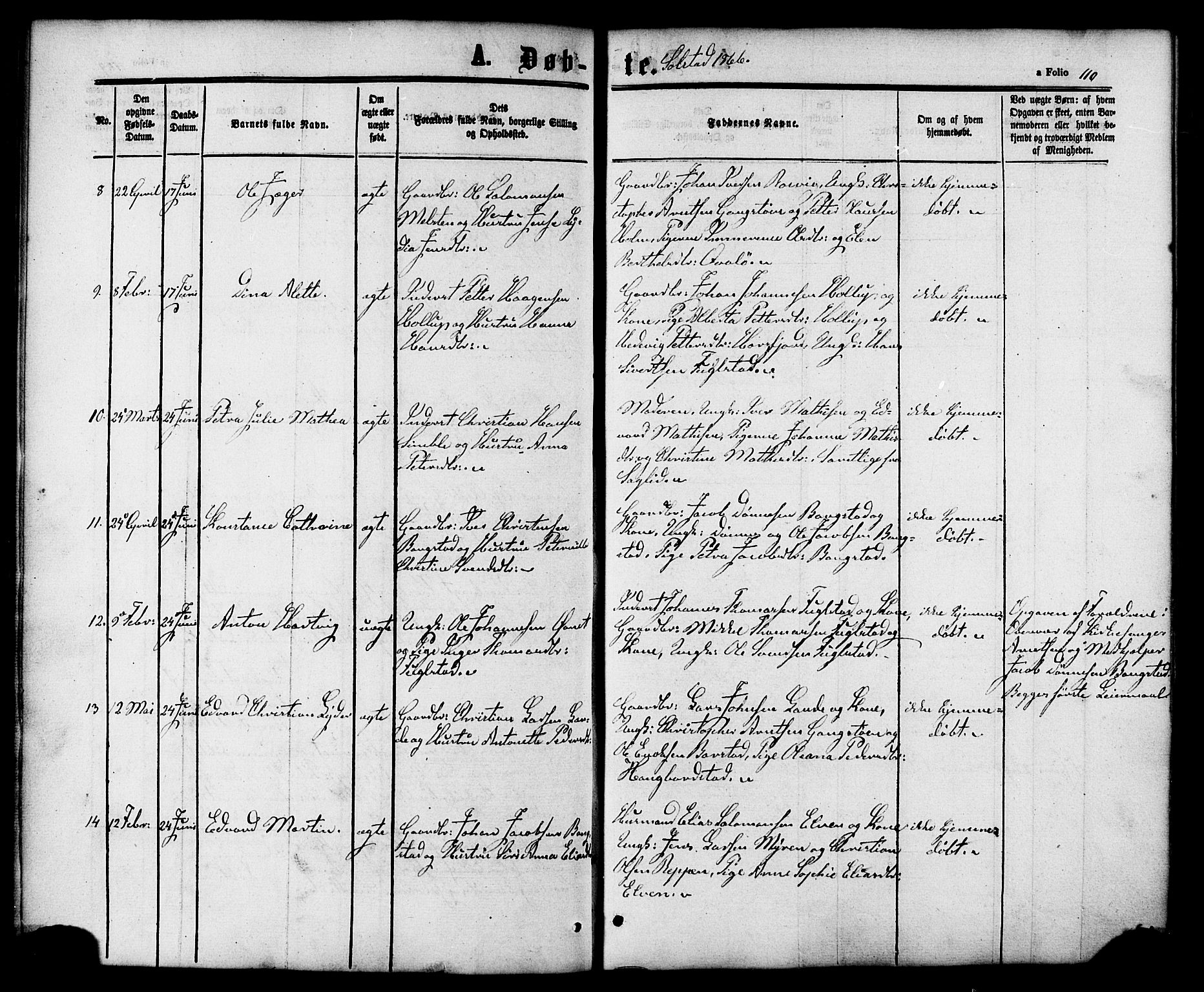 Ministerialprotokoller, klokkerbøker og fødselsregistre - Nordland, AV/SAT-A-1459/810/L0147: Parish register (official) no. 810A08 /2, 1862-1874, p. 110