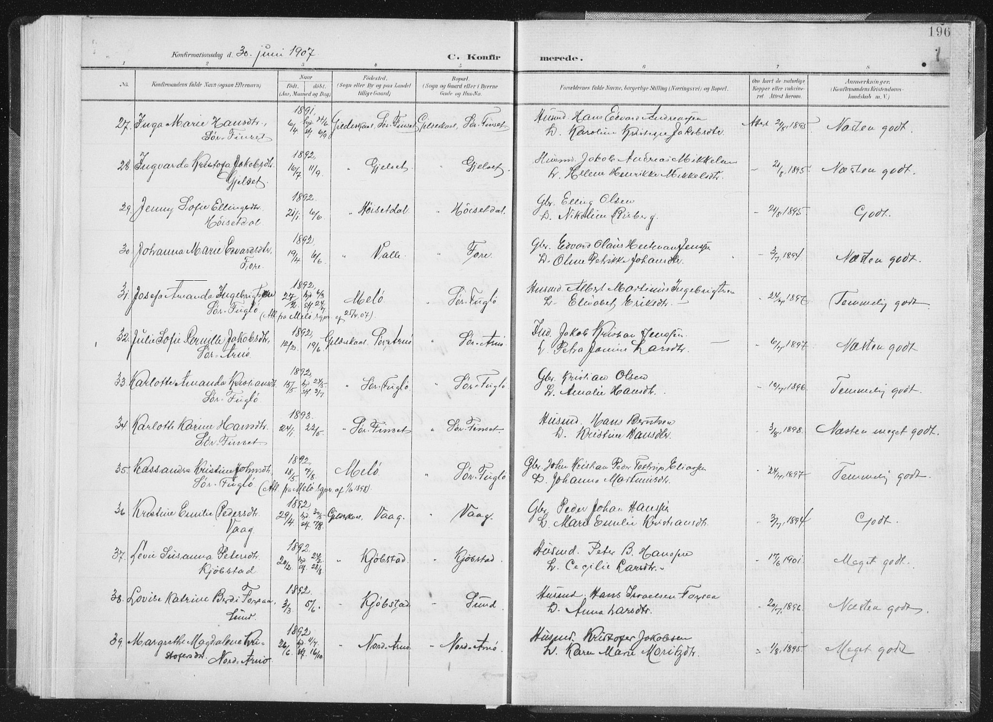 Ministerialprotokoller, klokkerbøker og fødselsregistre - Nordland, AV/SAT-A-1459/805/L0102: Parish register (official) no. 805A08I, 1900-1909, p. 196