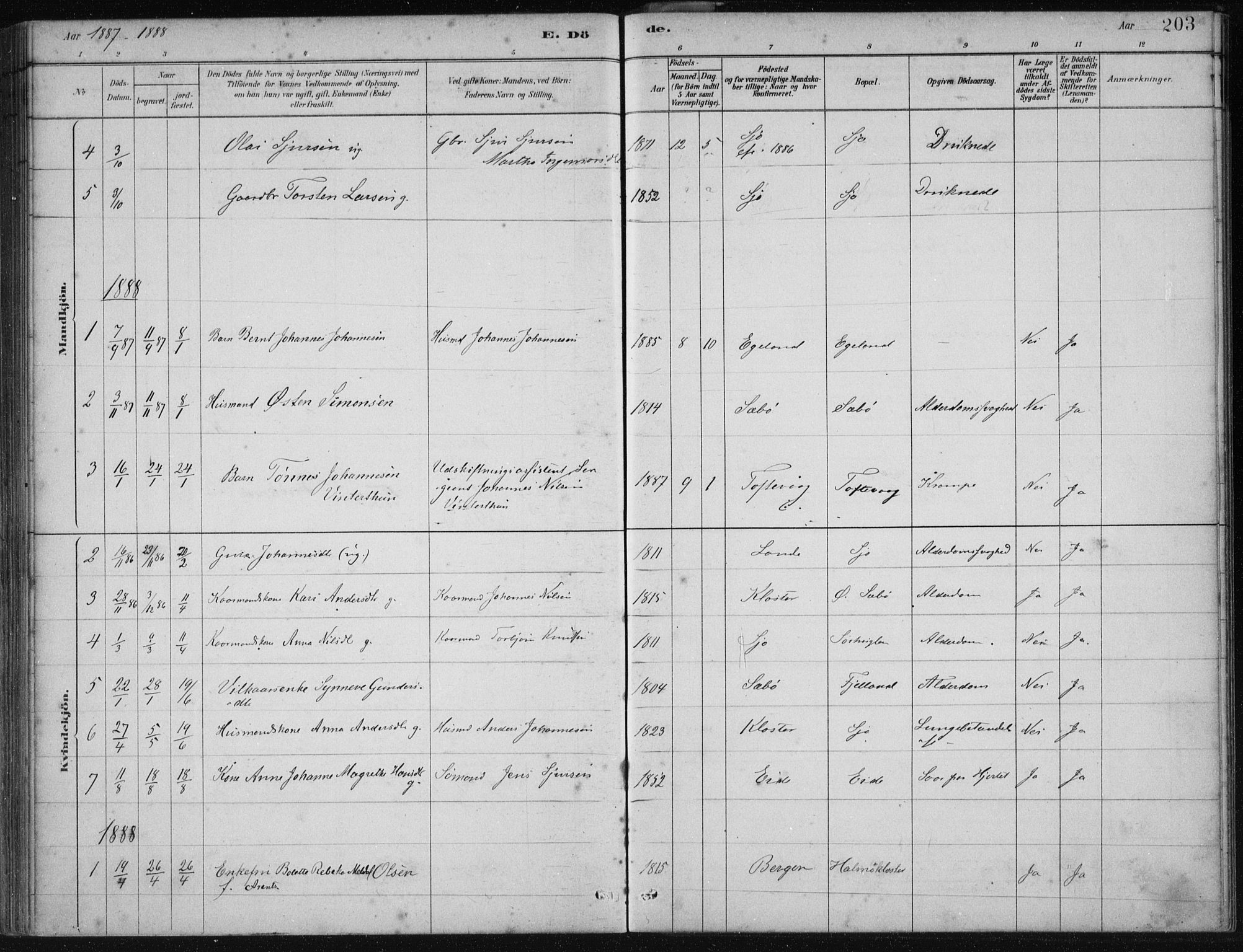 Fjelberg sokneprestembete, SAB/A-75201/H/Haa: Parish register (official) no. C  1, 1879-1918, p. 203