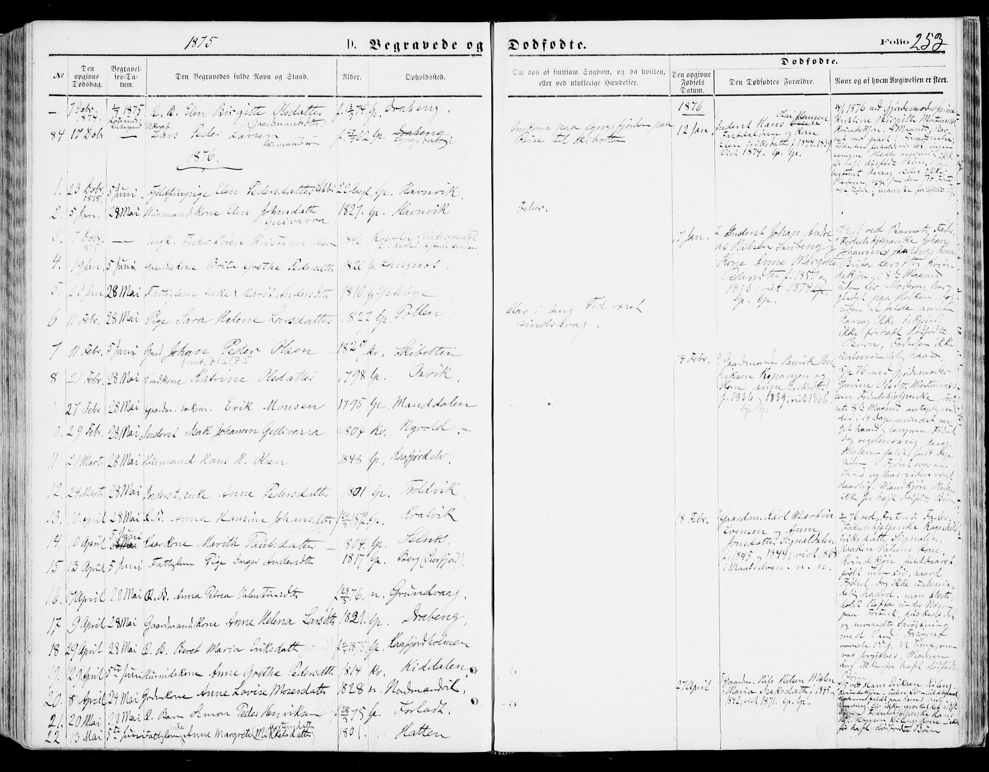 Lyngen sokneprestembete, SATØ/S-1289/H/He/Hea/L0006kirke: Parish register (official) no. 6, 1870-1878, p. 253