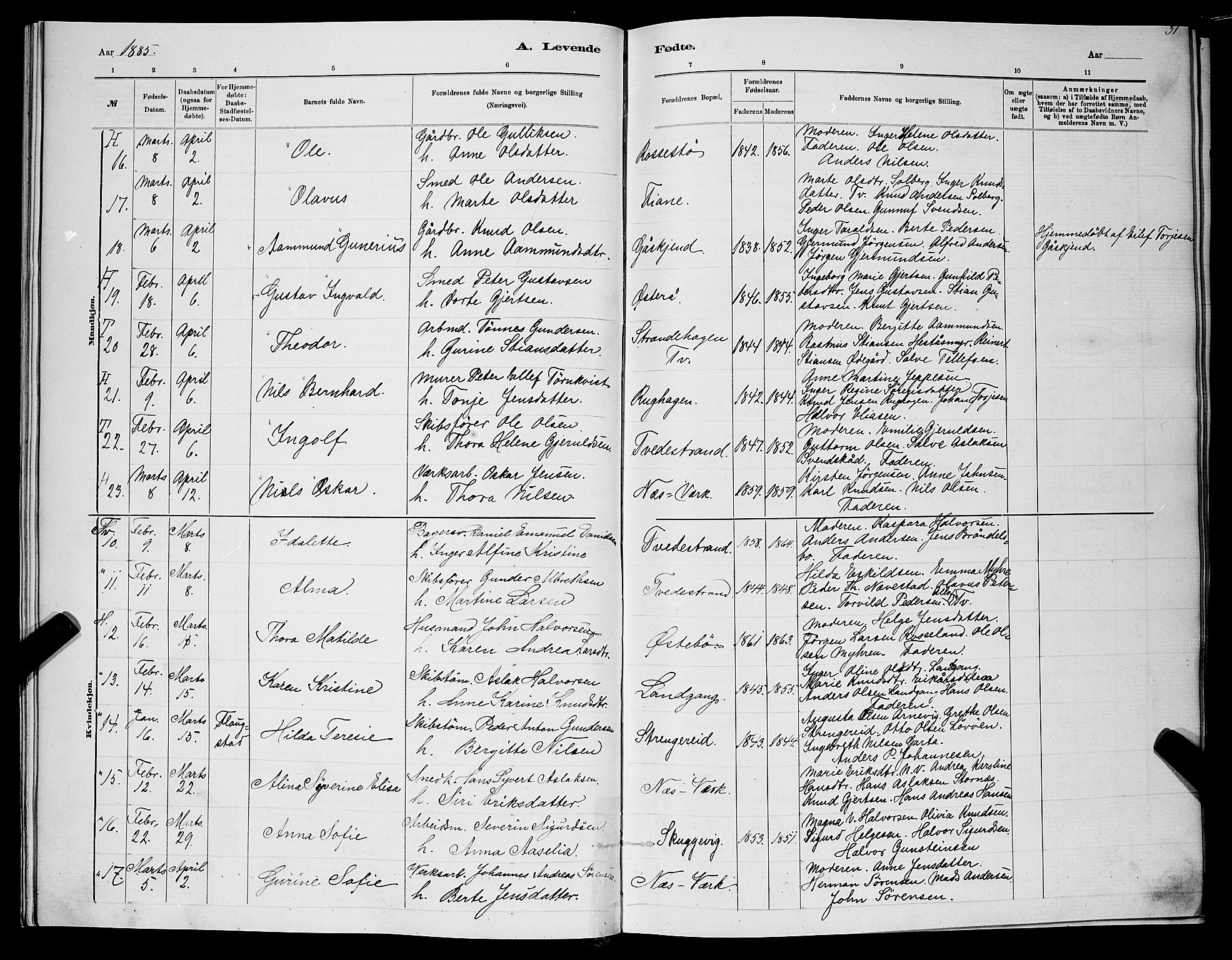 Holt sokneprestkontor, SAK/1111-0021/F/Fb/L0010: Parish register (copy) no. B 10, 1883-1896, p. 31