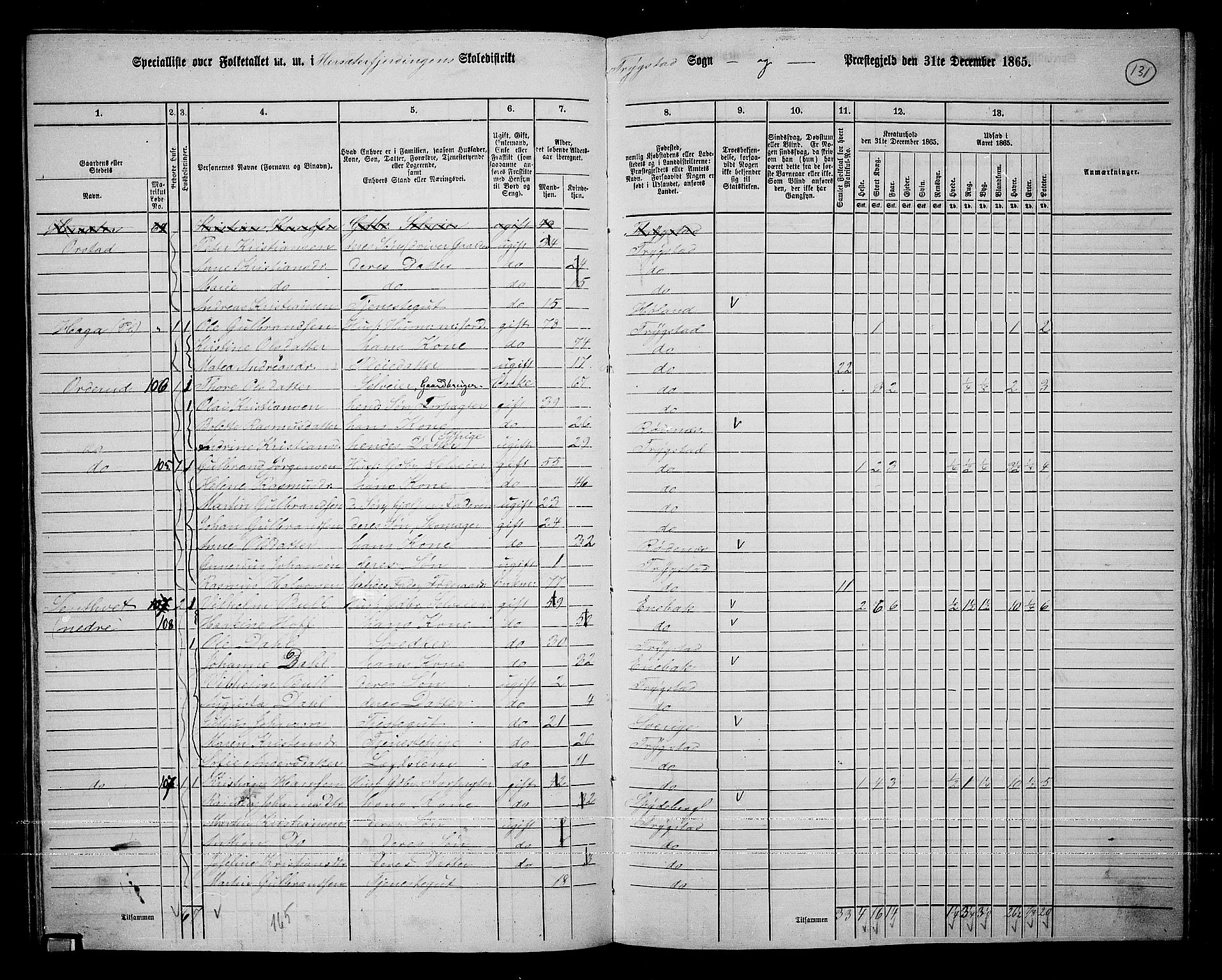 RA, 1865 census for Trøgstad, 1865, p. 115