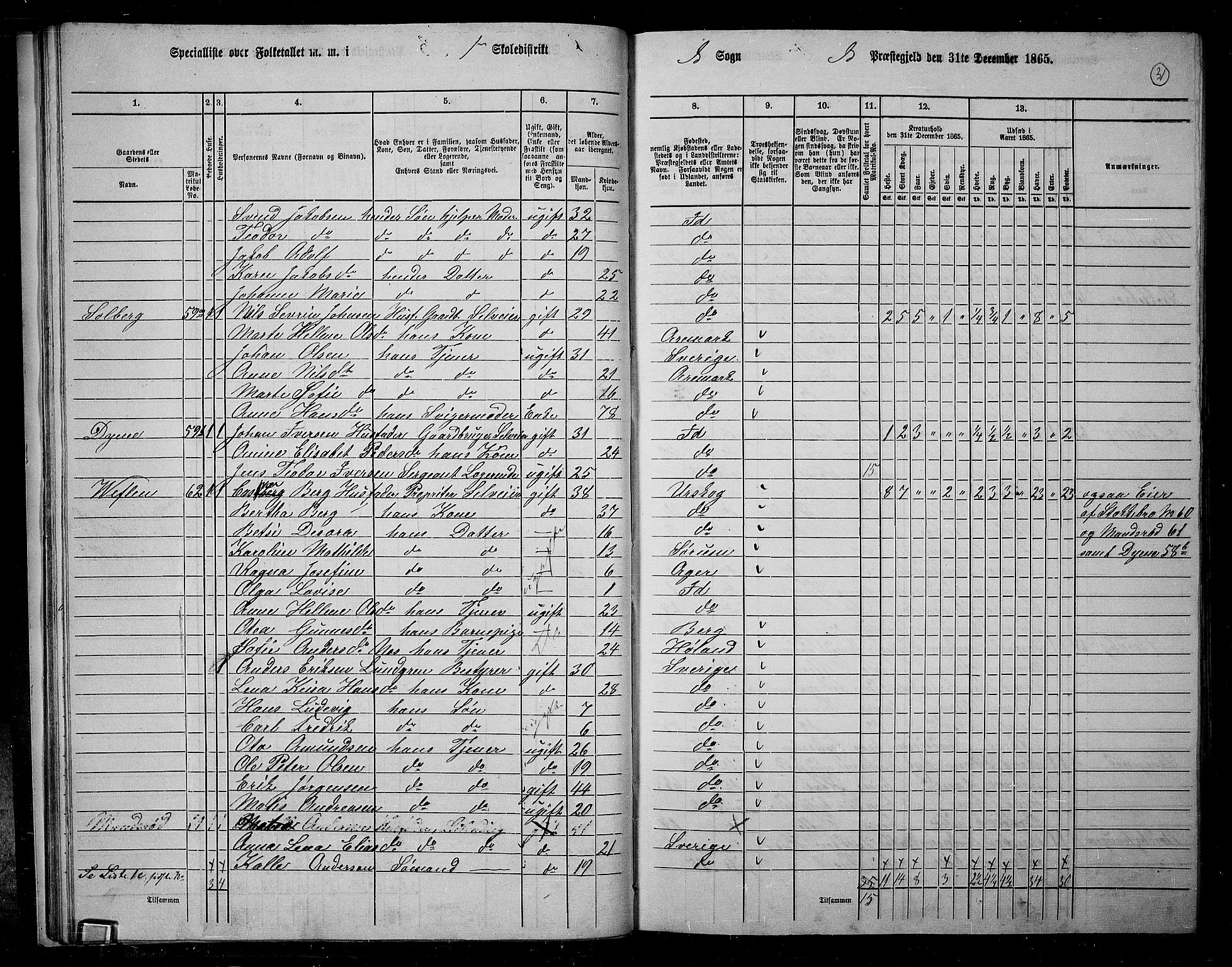 RA, 1865 census for Idd, 1865, p. 29