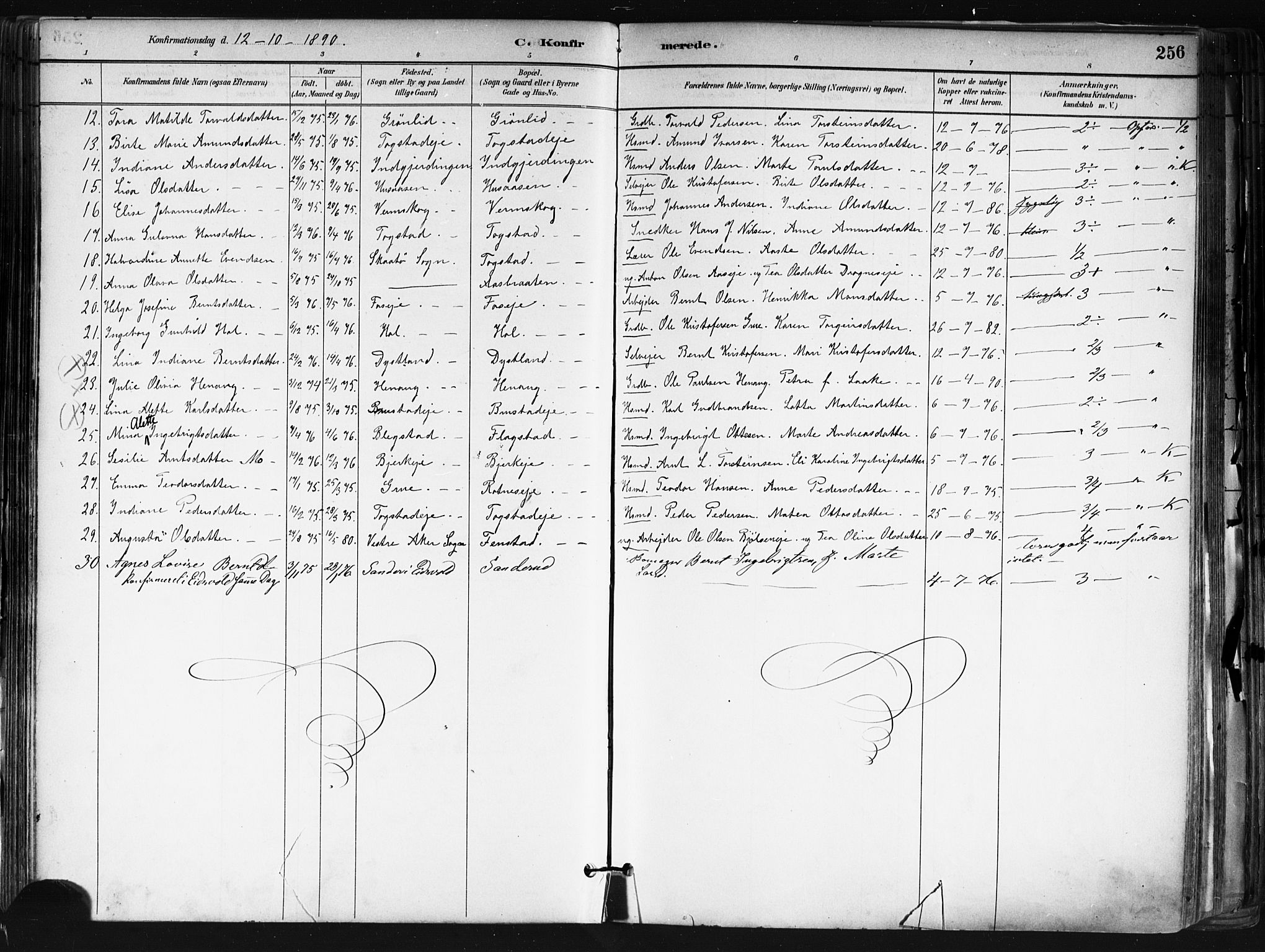 Nes prestekontor Kirkebøker, AV/SAO-A-10410/F/Fa/L0010: Parish register (official) no. I 10, 1883-1898, p. 256