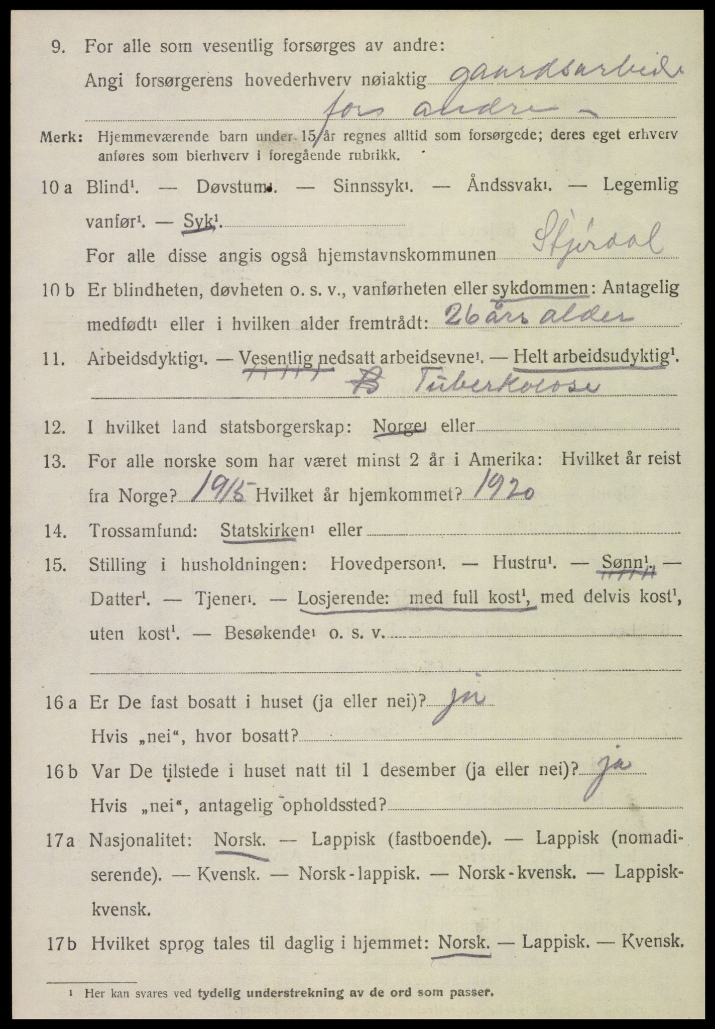 SAT, 1920 census for Stjørdal, 1920, p. 2531