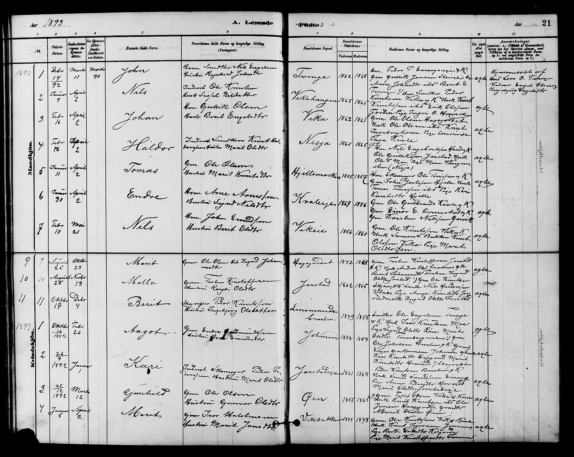 Vestre Slidre prestekontor, SAH/PREST-136/H/Ha/Hab/L0004: Parish register (copy) no. 4, 1881-1912, p. 21
