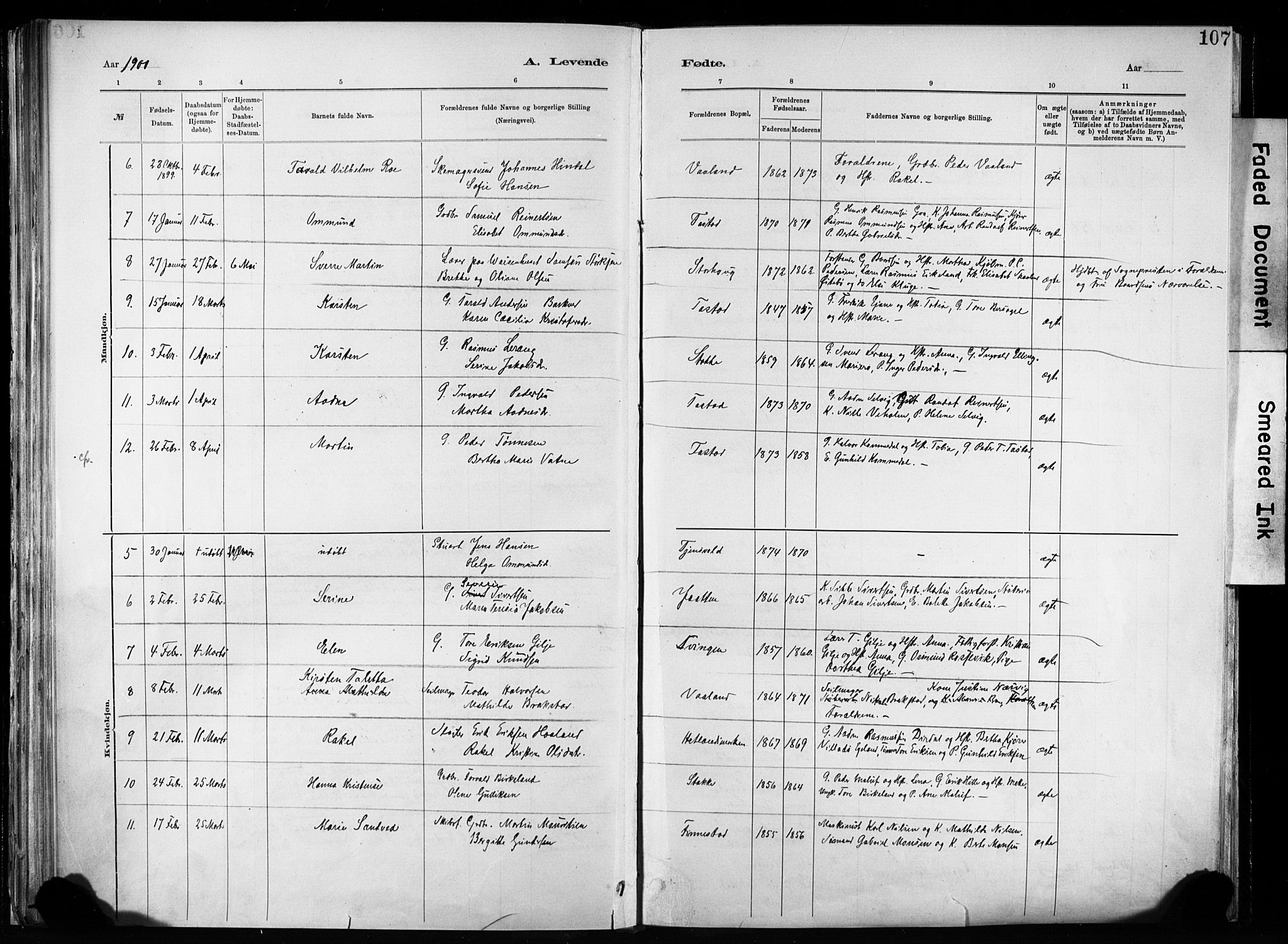 Hetland sokneprestkontor, SAST/A-101826/30/30BA/L0011: Parish register (official) no. A 11, 1884-1911, p. 107