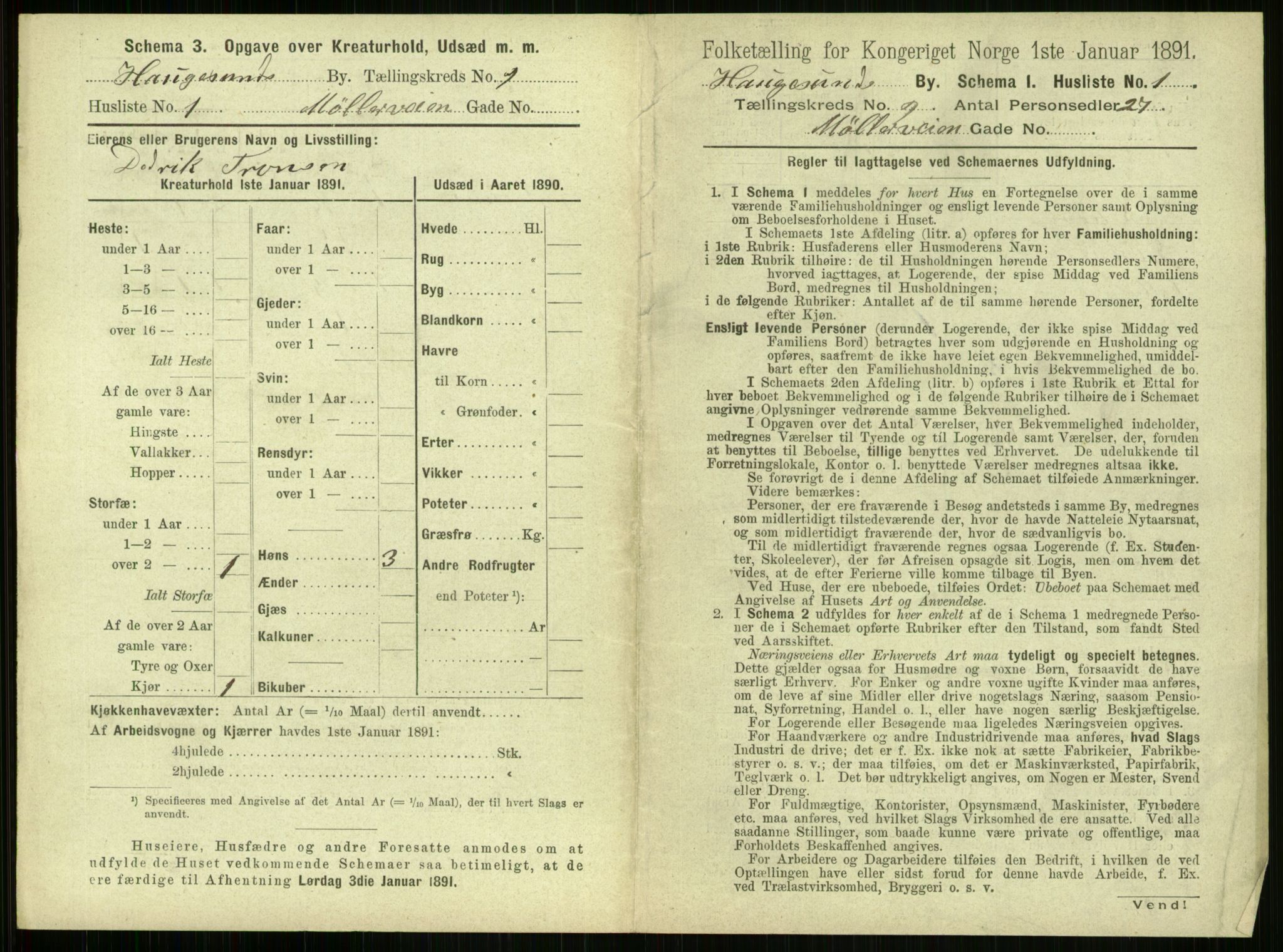 RA, 1891 census for 1106 Haugesund, 1891, p. 643