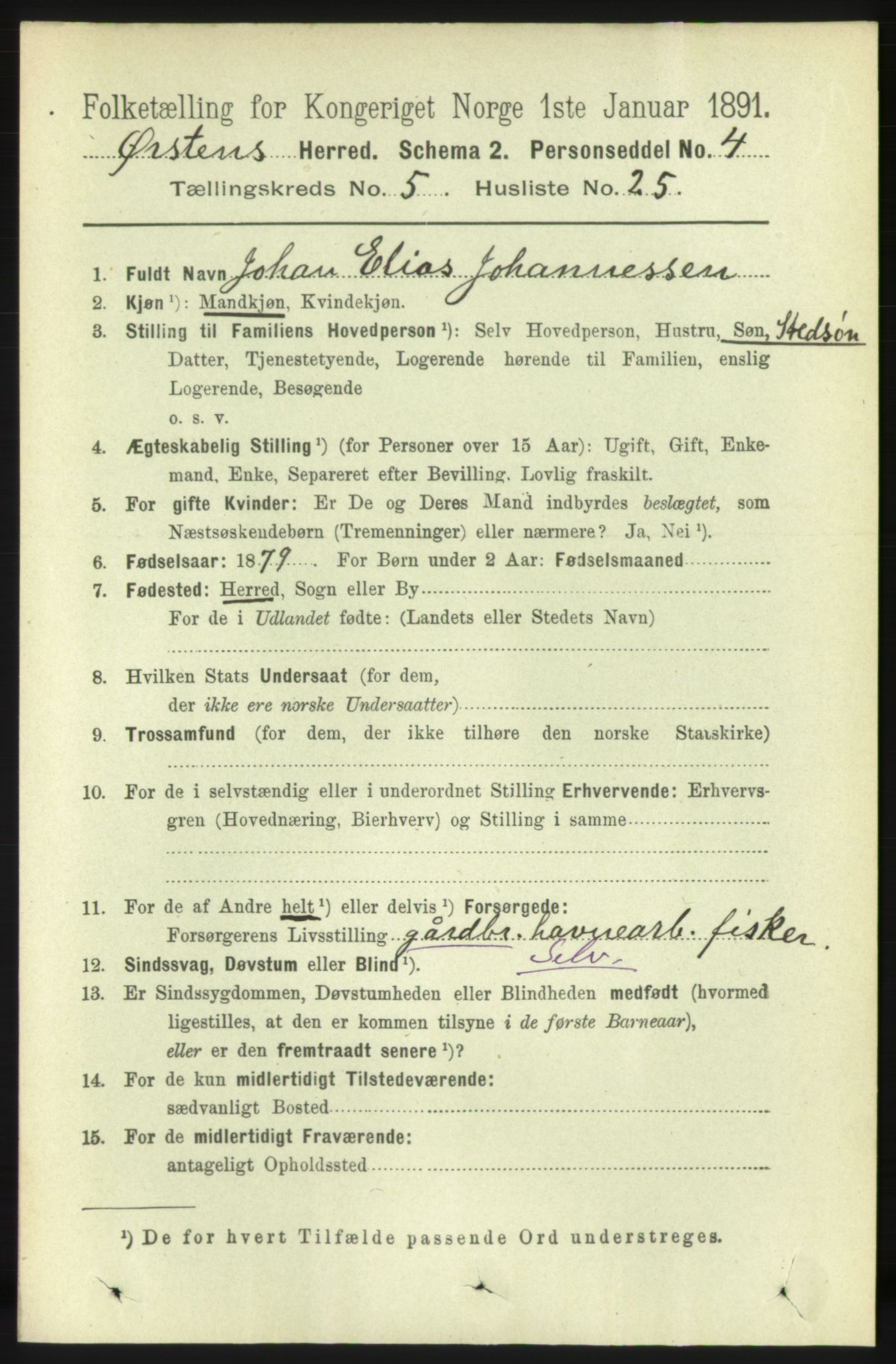 RA, 1891 census for 1520 Ørsta, 1891, p. 2429