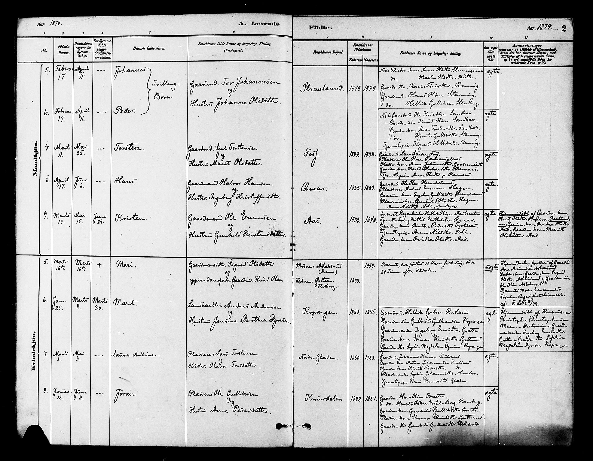 Flesberg kirkebøker, AV/SAKO-A-18/F/Fb/L0001: Parish register (official) no. II 1, 1879-1907, p. 2