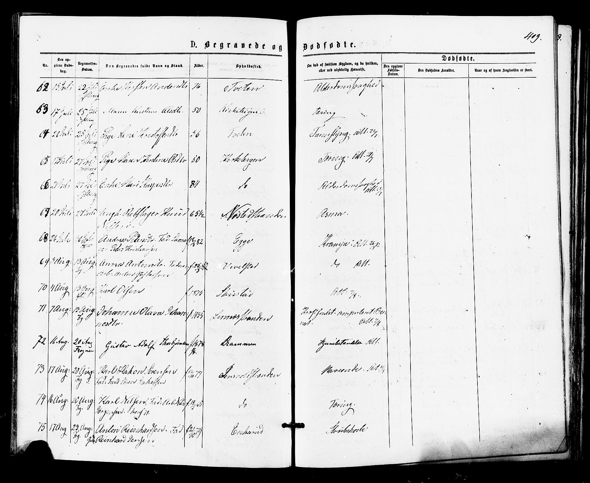 Lier kirkebøker, AV/SAKO-A-230/F/Fa/L0014: Parish register (official) no. I 14, 1875-1882, p. 409