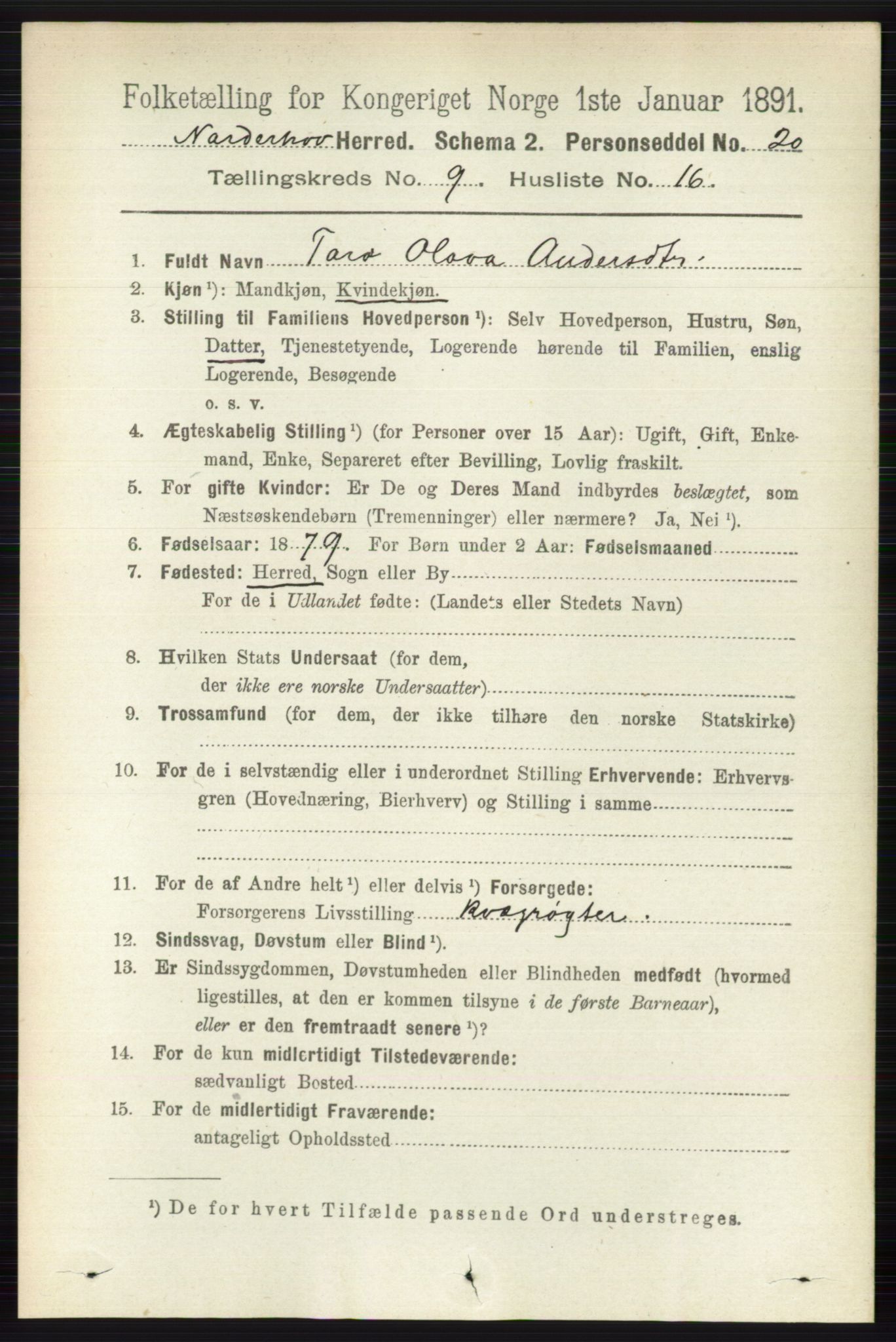 RA, 1891 census for 0613 Norderhov, 1891, p. 6705