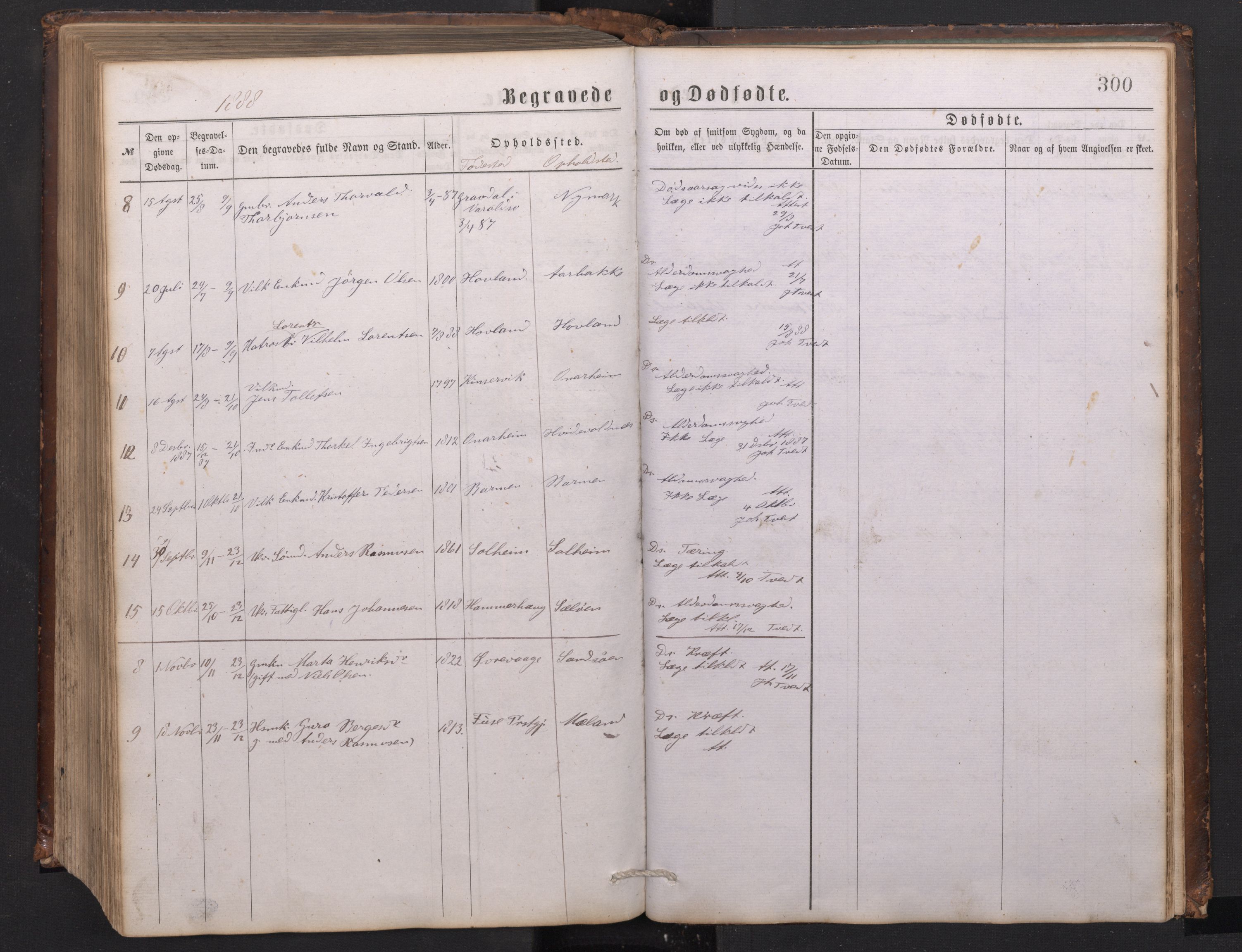 Tysnes sokneprestembete, SAB/A-78601/H/Hab: Parish register (copy) no. C 1, 1873-1895, p. 299b-300a