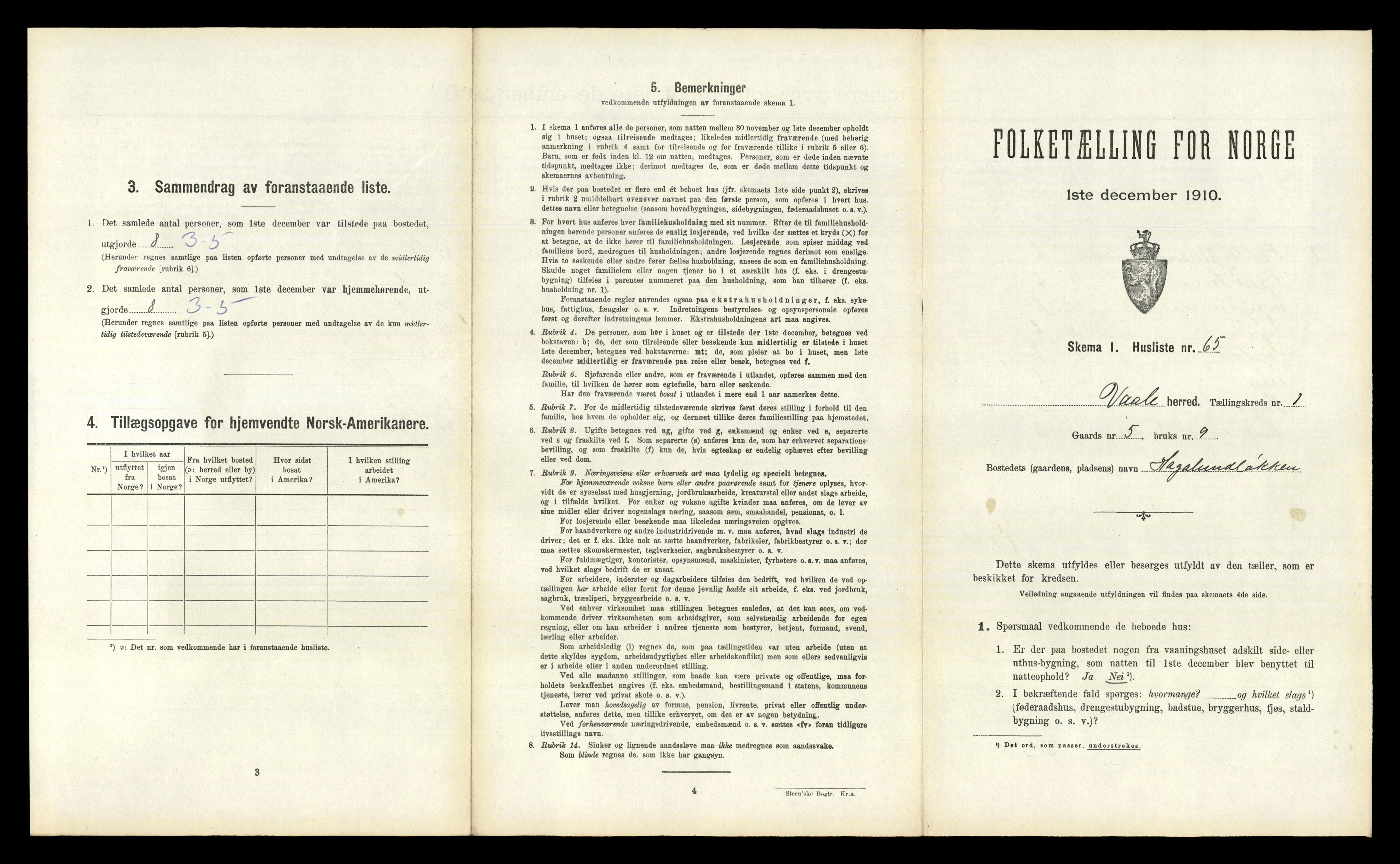 RA, 1910 census for Våle, 1910, p. 160