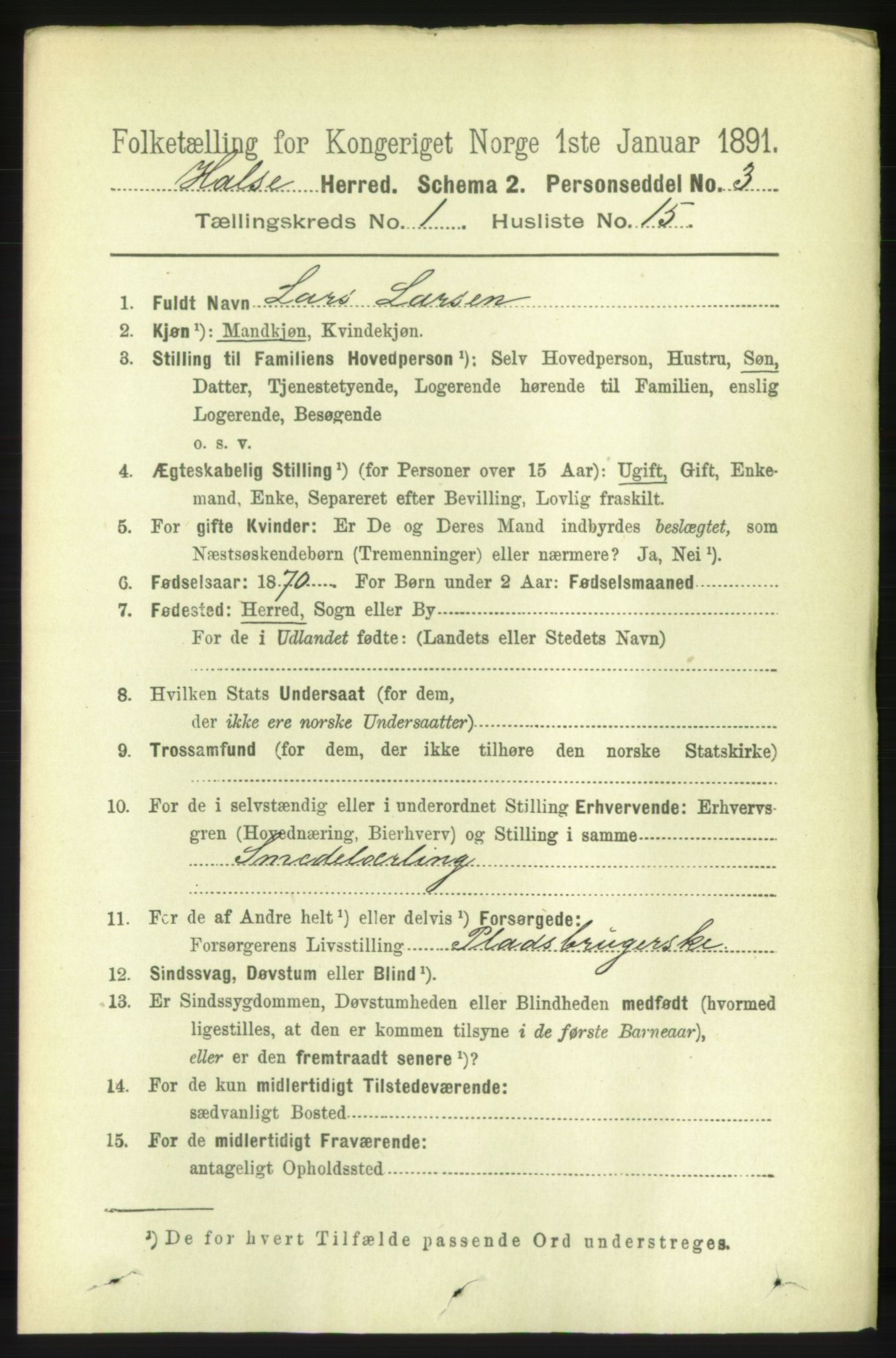 RA, 1891 census for 1571 Halsa, 1891, p. 164