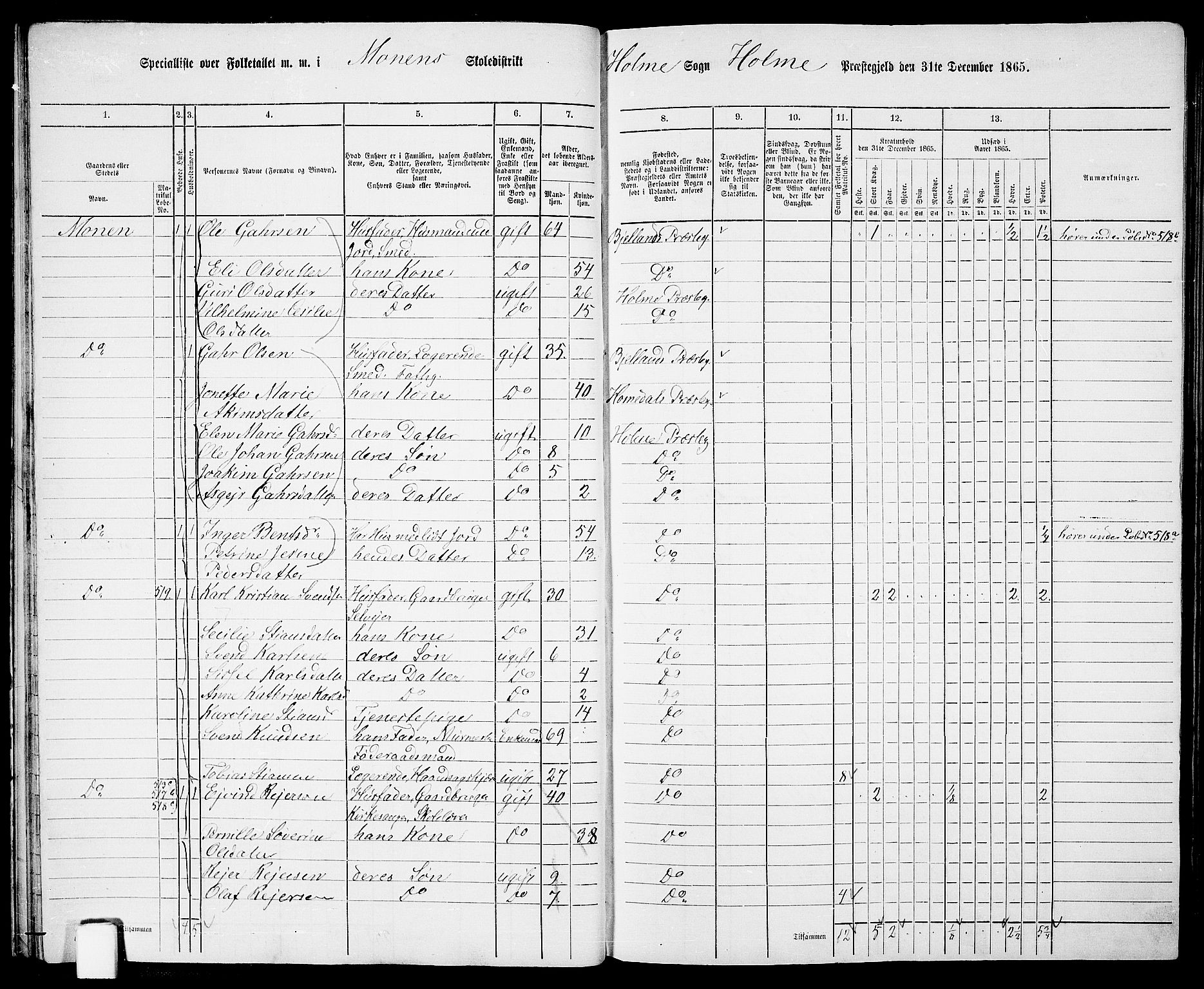 RA, 1865 census for Holum, 1865, p. 30