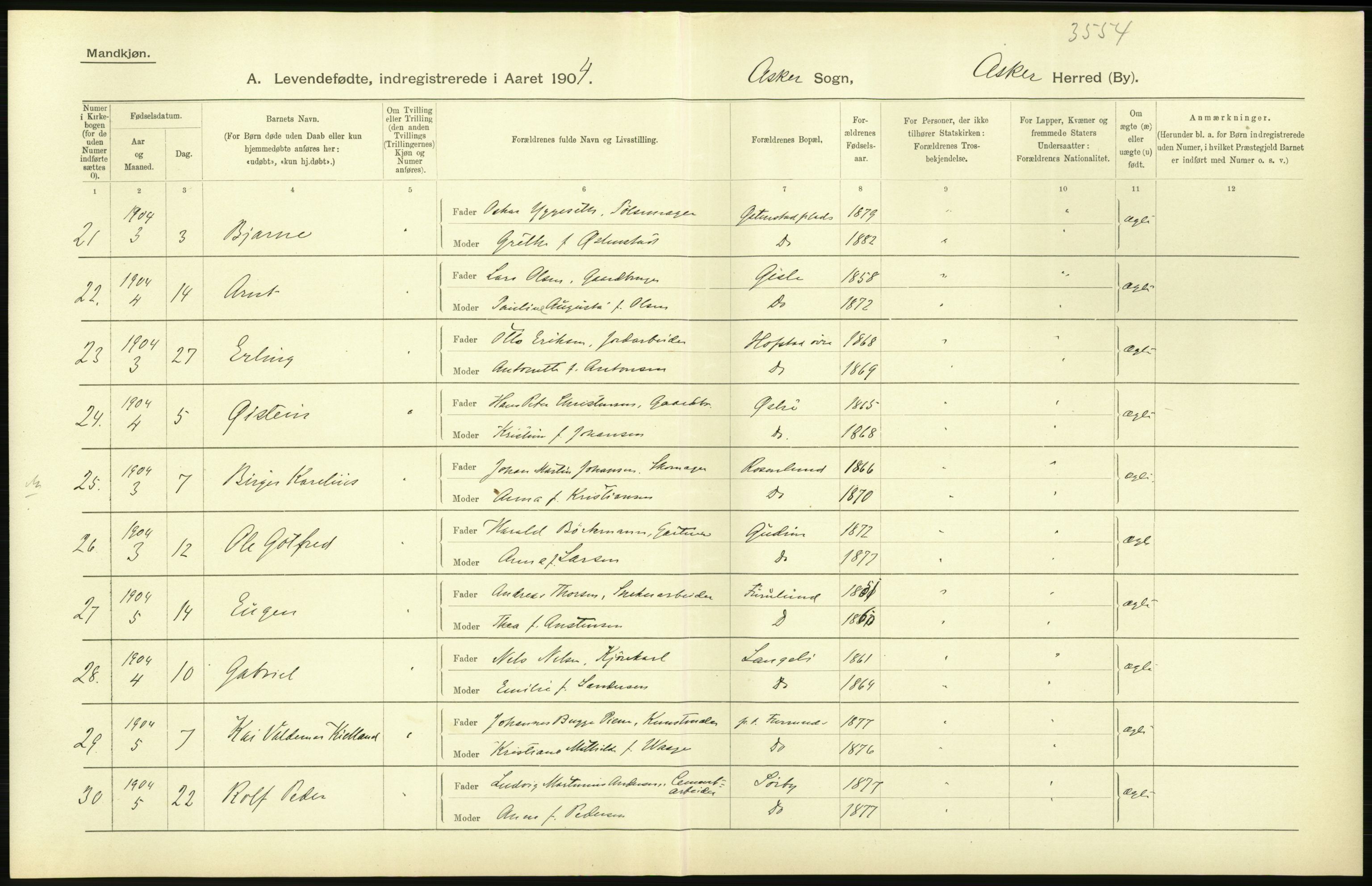 Statistisk sentralbyrå, Sosiodemografiske emner, Befolkning, AV/RA-S-2228/D/Df/Dfa/Dfab/L0002: Akershus amt: Fødte, gifte, døde, 1904, p. 46