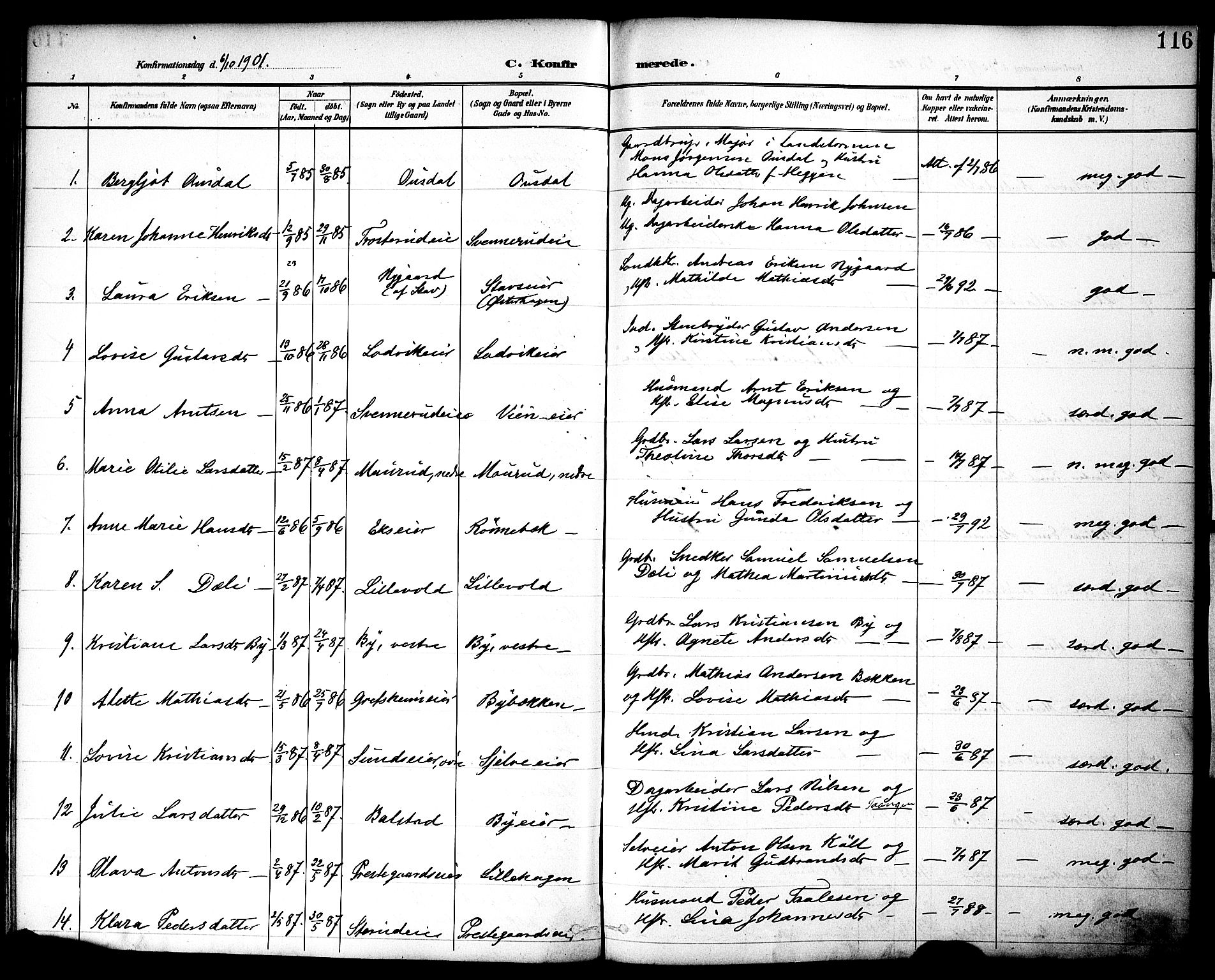 Nes prestekontor, Hedmark, AV/SAH-PREST-020/K/Ka/L0010: Parish register (official) no. 10, 1887-1905, p. 116