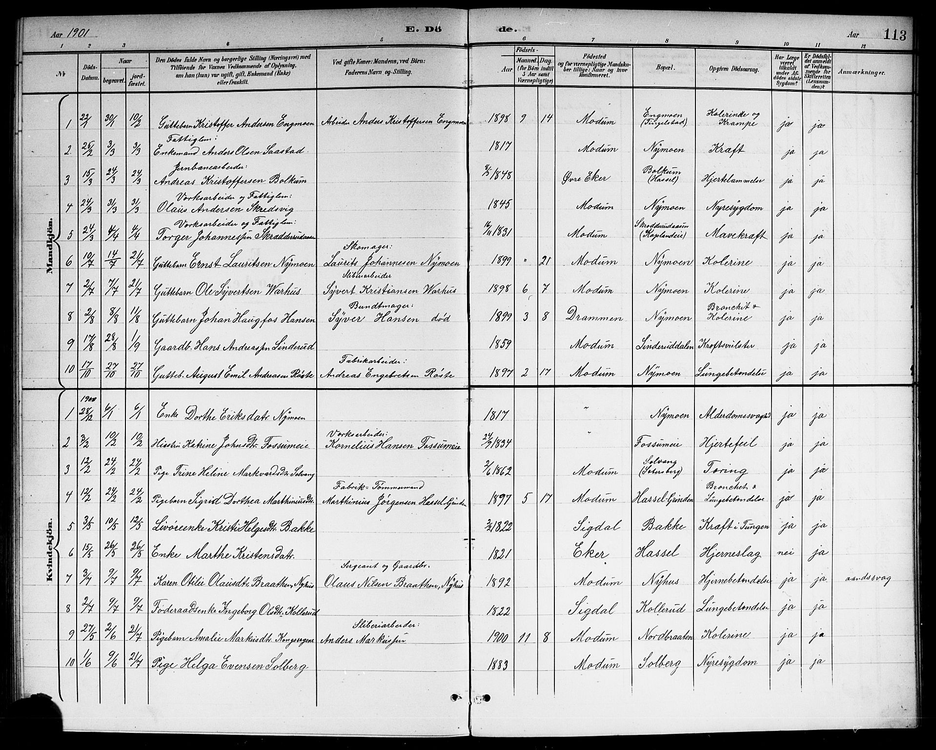 Modum kirkebøker, SAKO/A-234/G/Gc/L0001: Parish register (copy) no. III 1, 1901-1919, p. 113