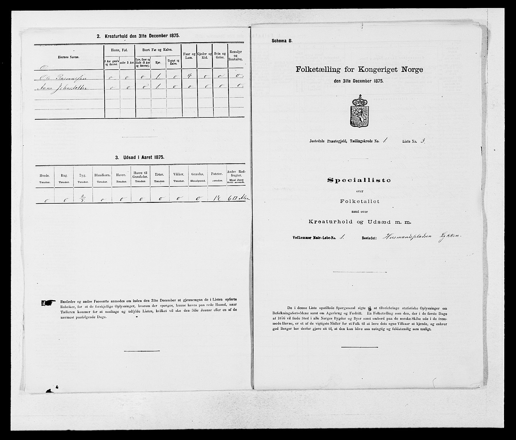 SAB, 1875 census for 1427P Jostedal, 1875, p. 15