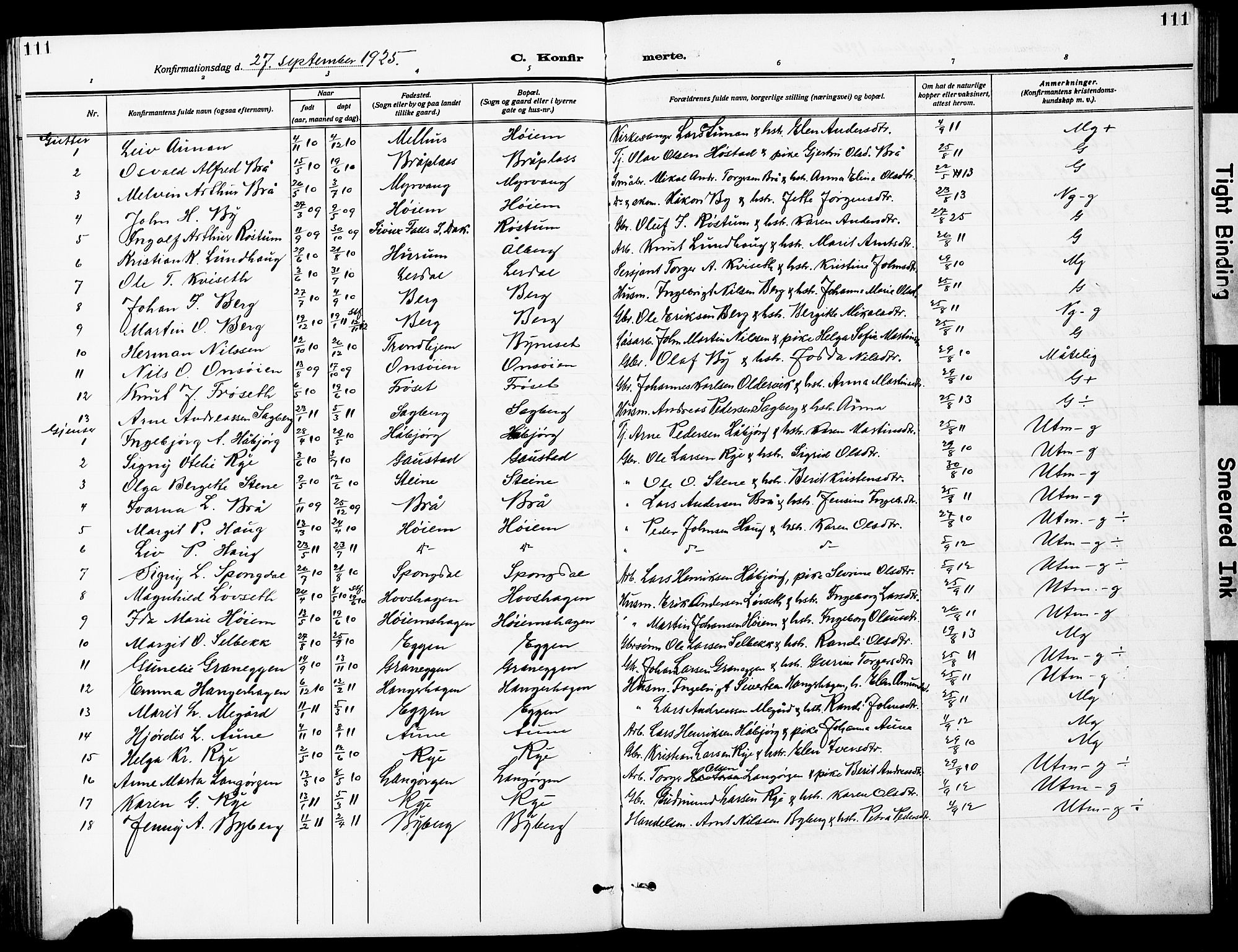Ministerialprotokoller, klokkerbøker og fødselsregistre - Sør-Trøndelag, SAT/A-1456/612/L0388: Parish register (copy) no. 612C04, 1909-1929, p. 111