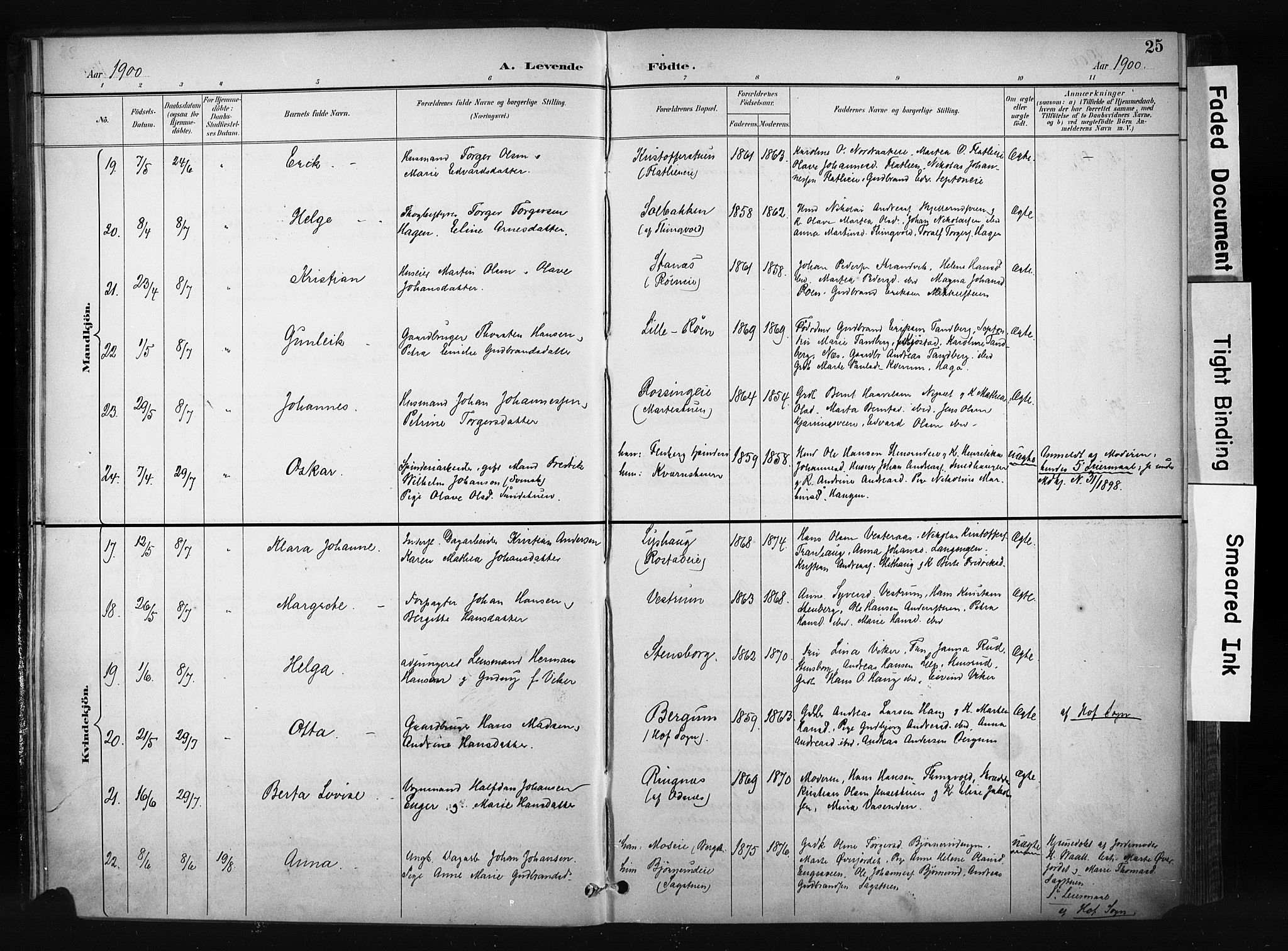 Søndre Land prestekontor, AV/SAH-PREST-122/K/L0004: Parish register (official) no. 4, 1895-1904, p. 25