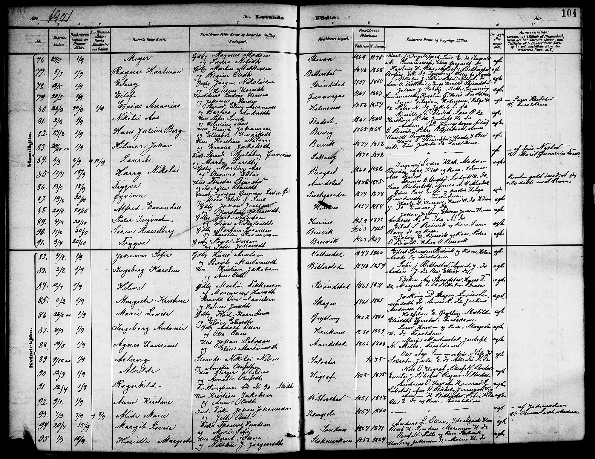 Ministerialprotokoller, klokkerbøker og fødselsregistre - Nordland, SAT/A-1459/888/L1268: Parish register (copy) no. 888C06, 1891-1908, p. 104
