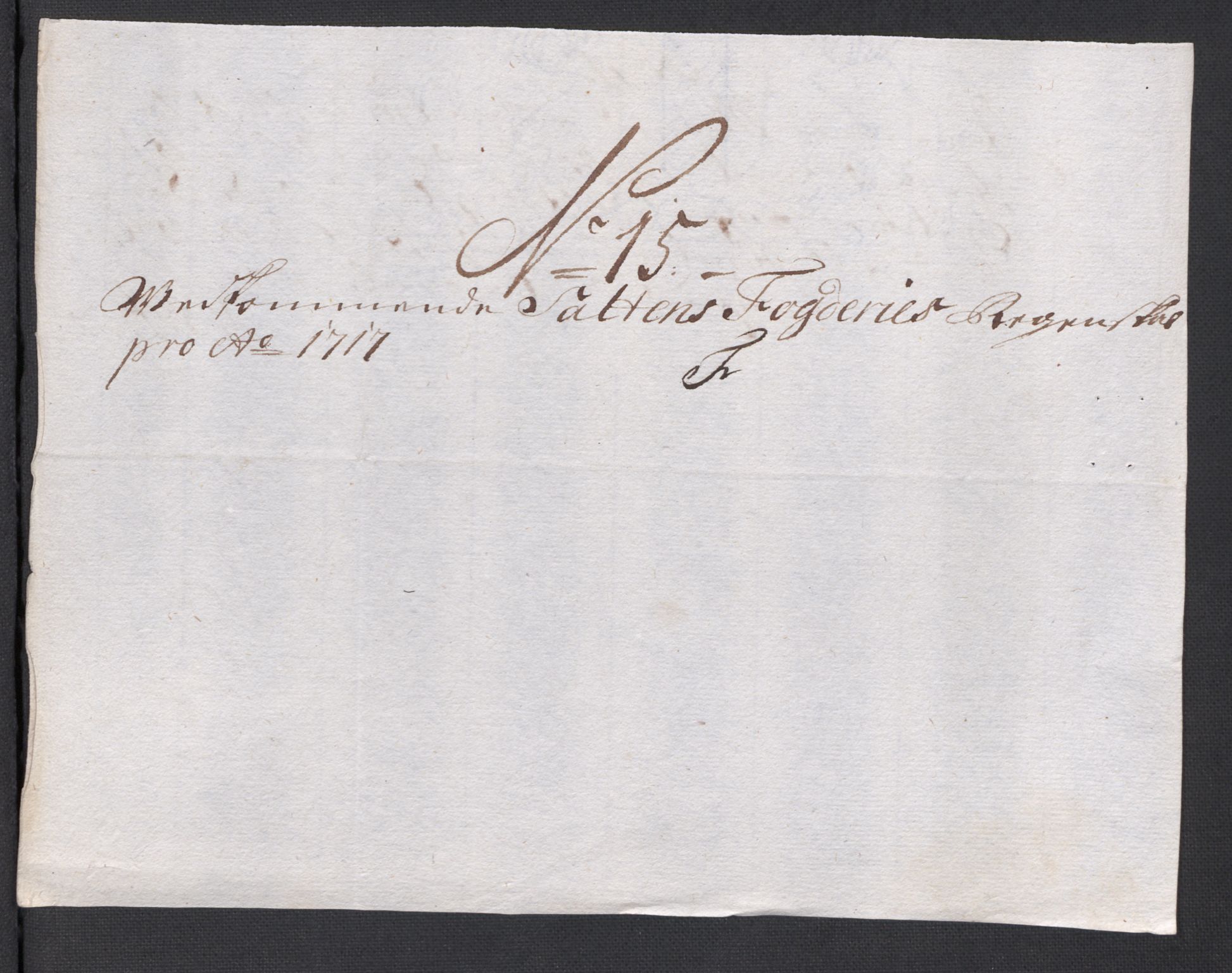 Rentekammeret inntil 1814, Reviderte regnskaper, Fogderegnskap, AV/RA-EA-4092/R66/L4587: Fogderegnskap Salten, 1717, p. 123