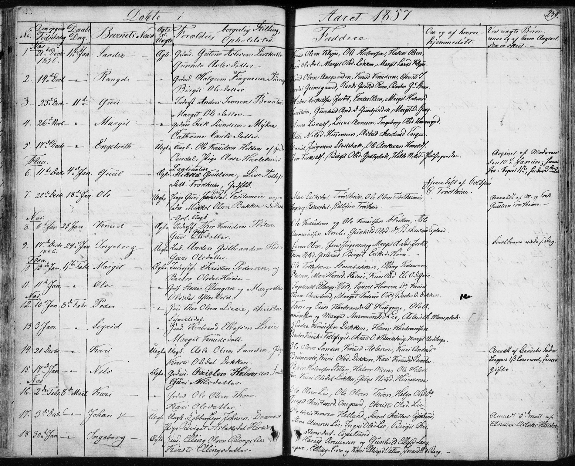 Nes kirkebøker, SAKO/A-236/F/Fa/L0009: Parish register (official) no. 9, 1834-1863, p. 239
