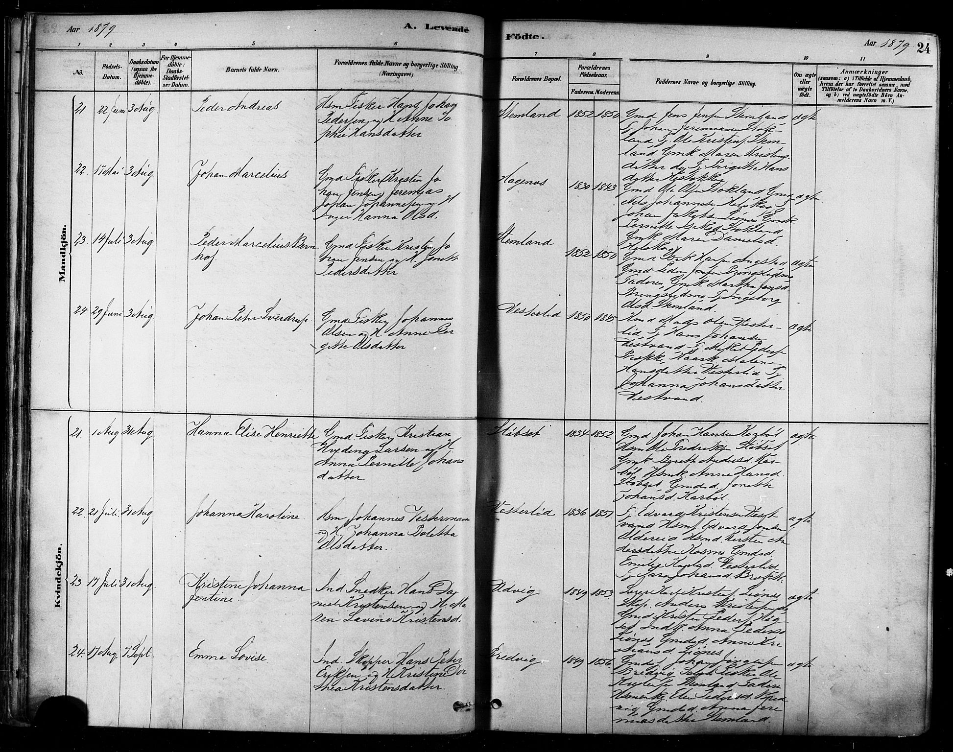 Ministerialprotokoller, klokkerbøker og fødselsregistre - Nordland, AV/SAT-A-1459/852/L0740: Parish register (official) no. 852A10, 1878-1894, p. 24