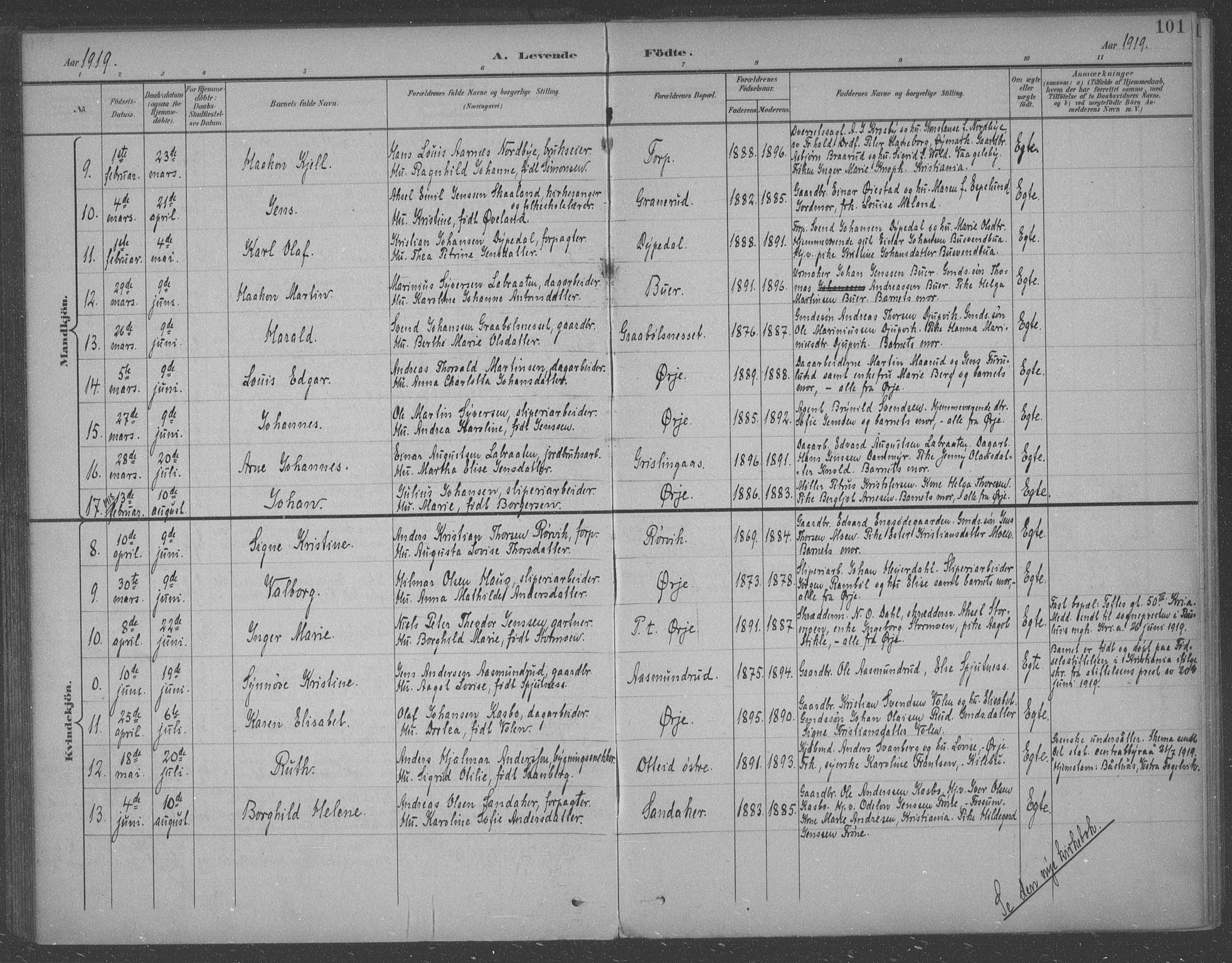 Aremark prestekontor Kirkebøker, SAO/A-10899/F/Fb/L0005: Parish register (official) no. II 5, 1895-1919, p. 101