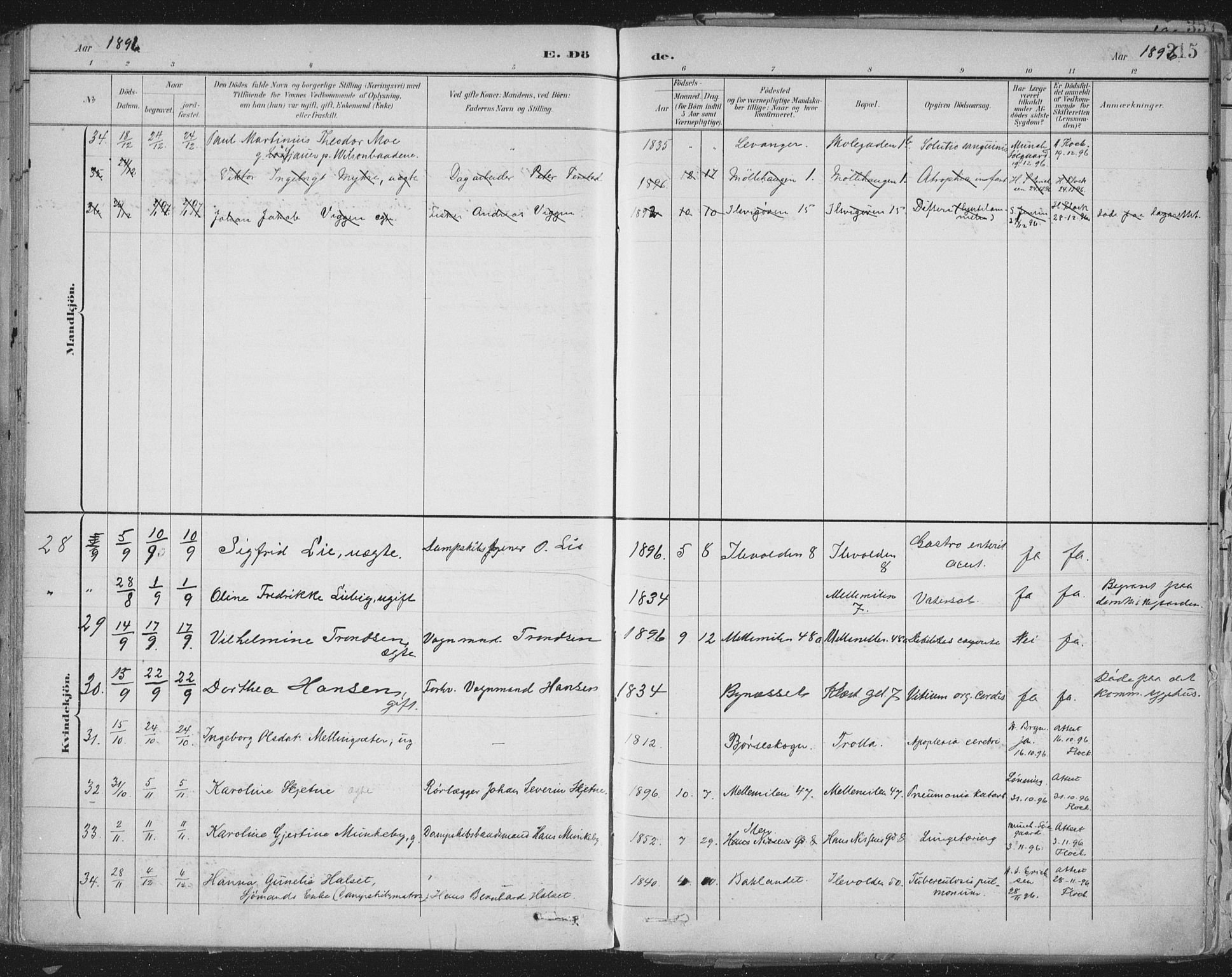 Ministerialprotokoller, klokkerbøker og fødselsregistre - Sør-Trøndelag, AV/SAT-A-1456/603/L0167: Parish register (official) no. 603A06, 1896-1932, p. 315