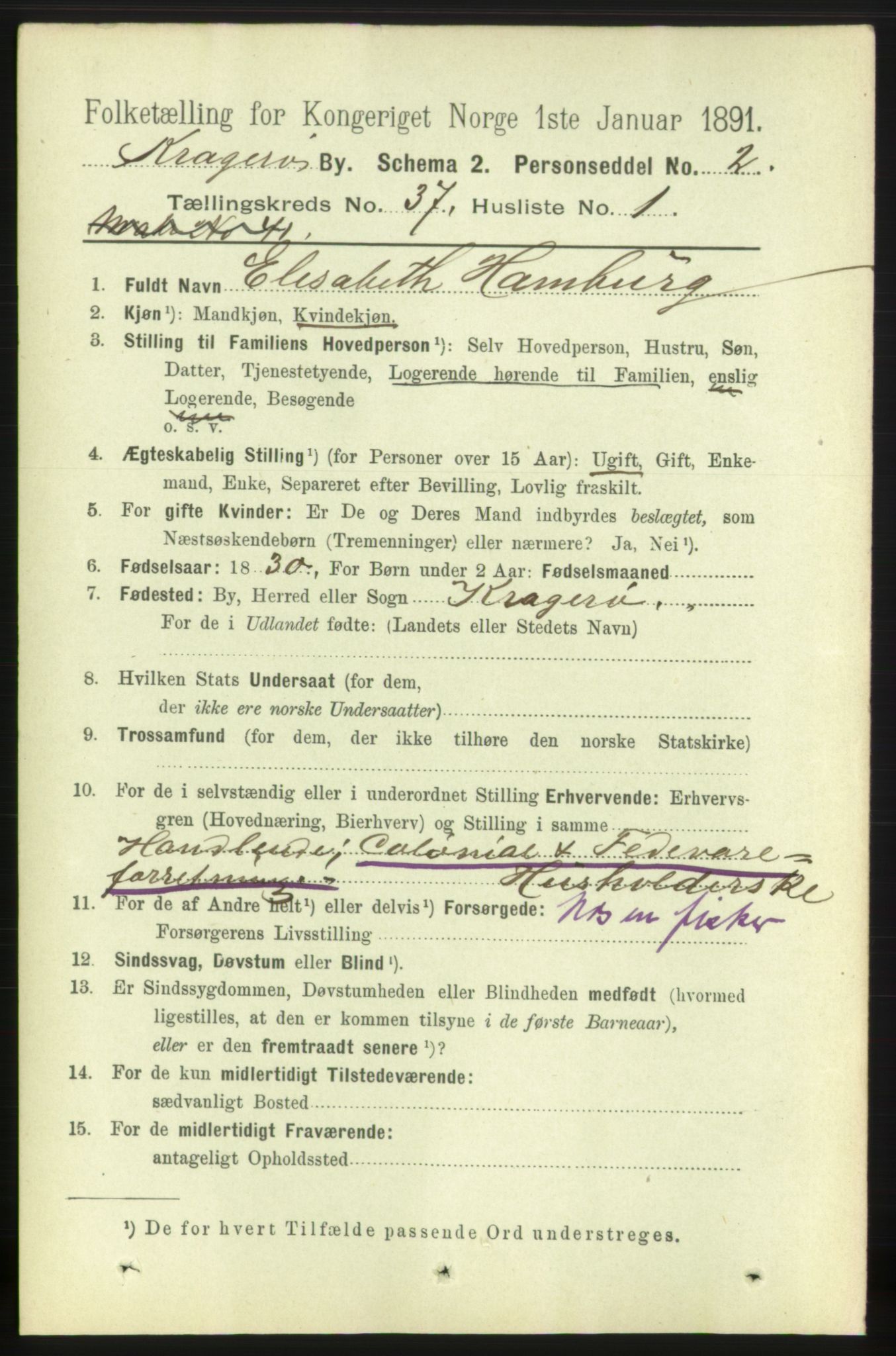 RA, 1891 census for 0801 Kragerø, 1891, p. 6756