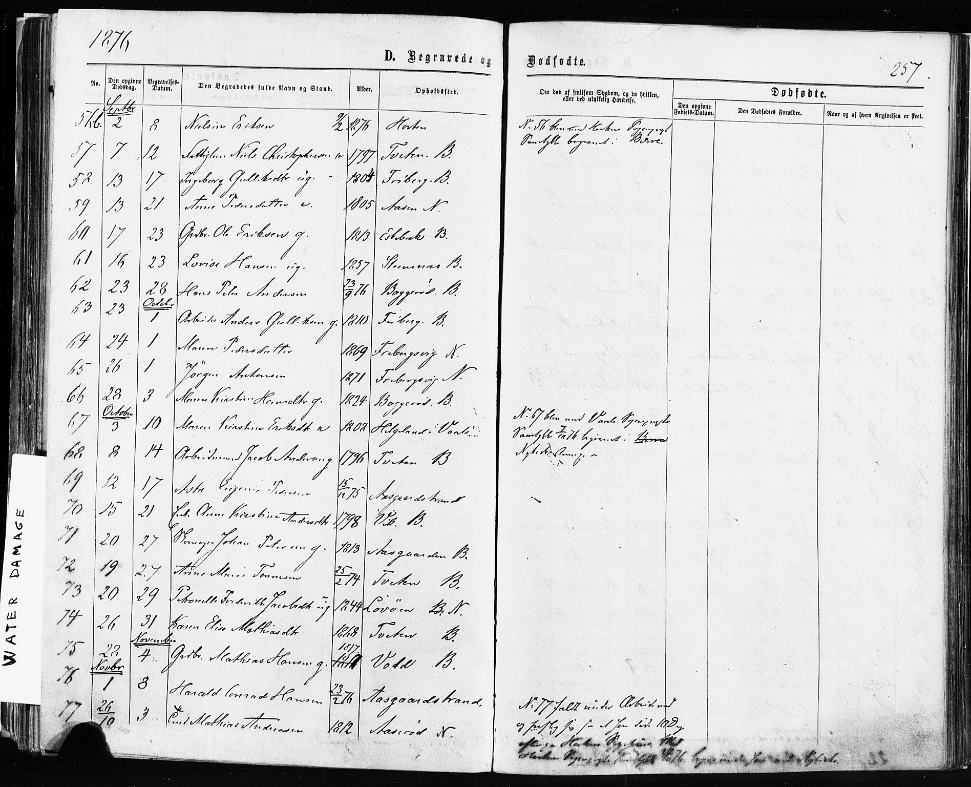 Borre kirkebøker, AV/SAKO-A-338/F/Fa/L0008: Parish register (official) no. I 8, 1868-1877, p. 257