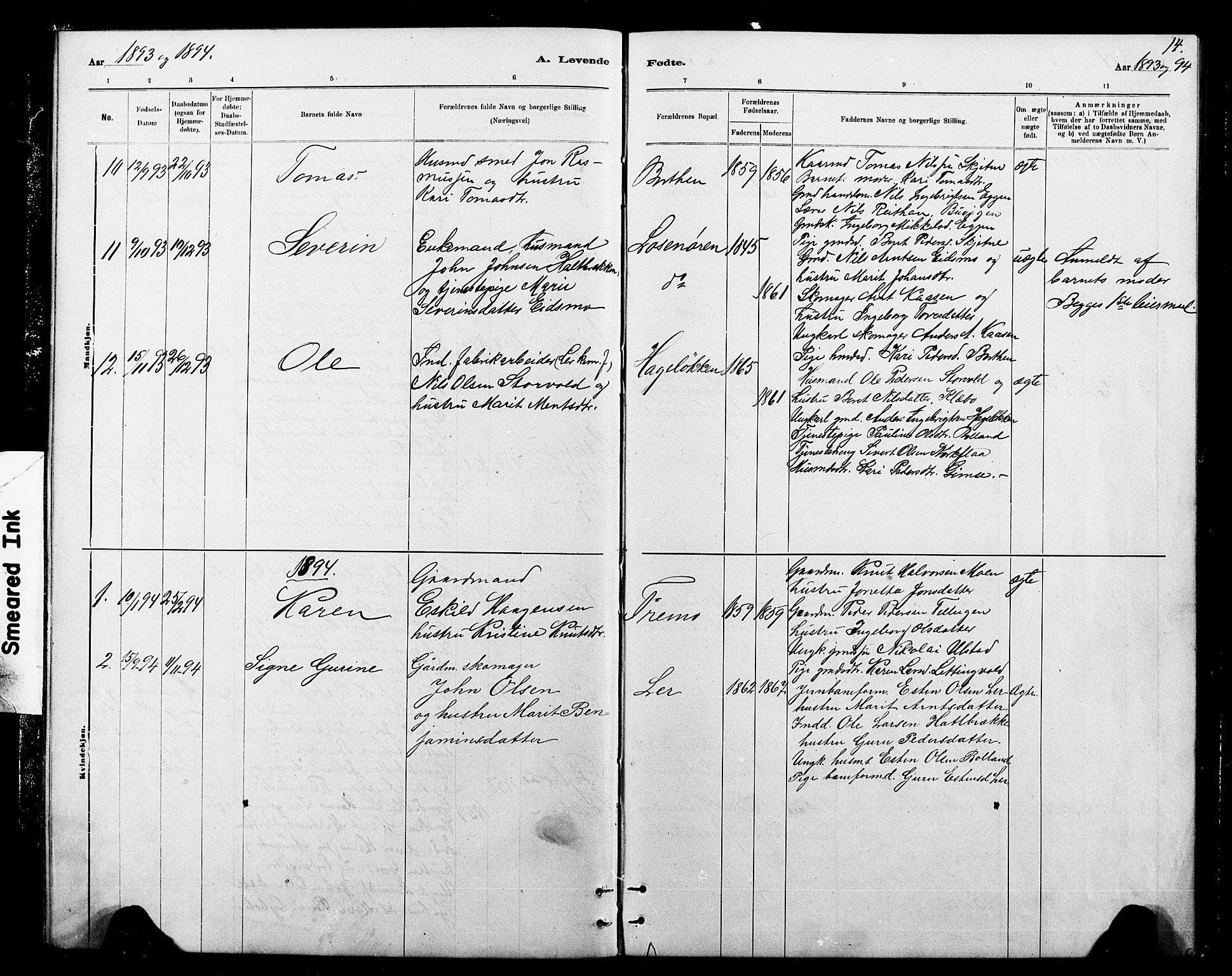 Ministerialprotokoller, klokkerbøker og fødselsregistre - Sør-Trøndelag, SAT/A-1456/693/L1123: Parish register (copy) no. 693C04, 1887-1910, p. 14