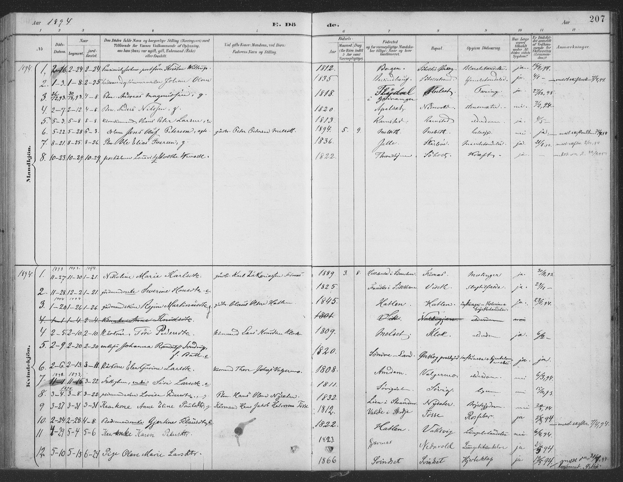 Ministerialprotokoller, klokkerbøker og fødselsregistre - Møre og Romsdal, AV/SAT-A-1454/522/L0316: Parish register (official) no. 522A11, 1890-1911, p. 207