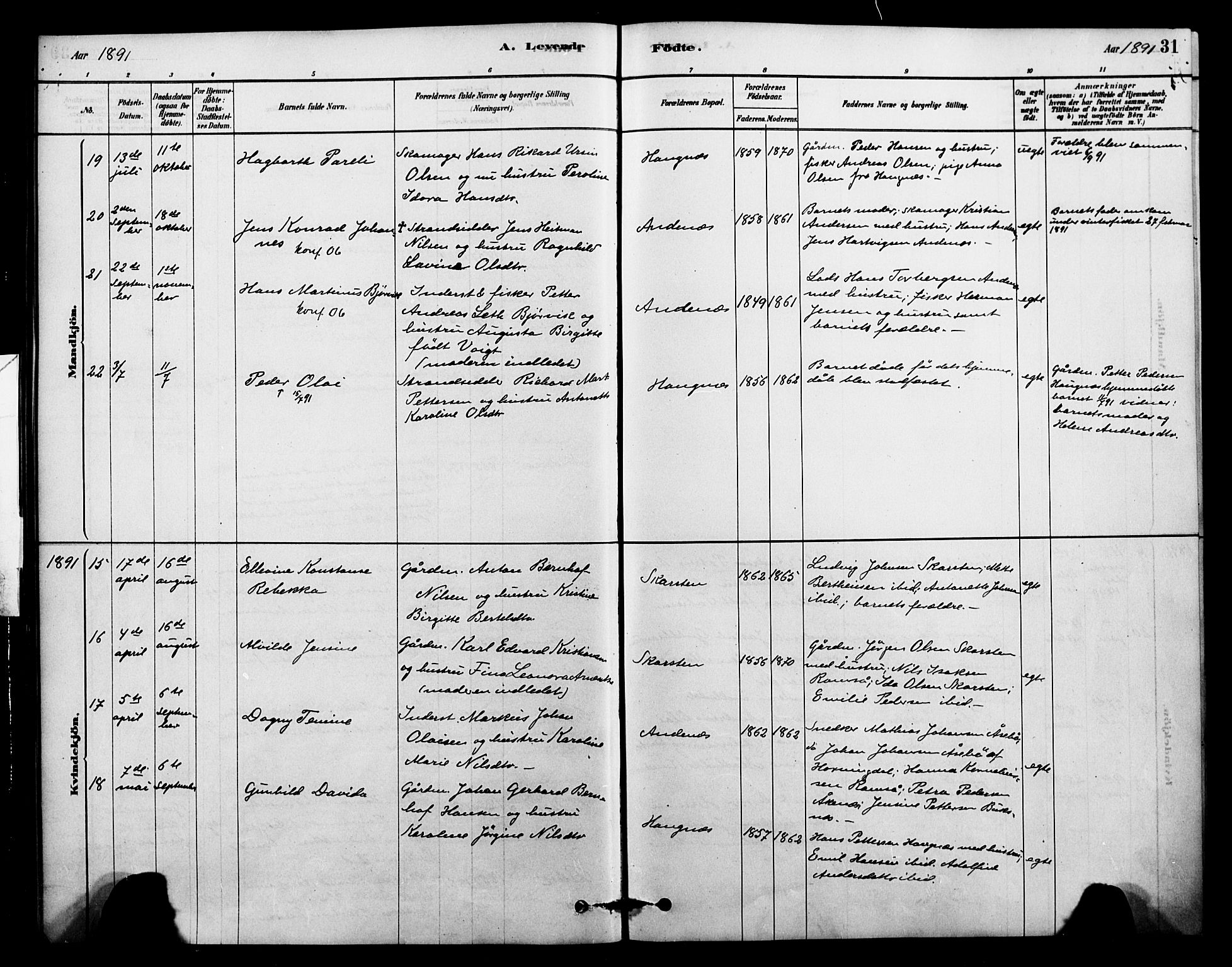 Ministerialprotokoller, klokkerbøker og fødselsregistre - Nordland, AV/SAT-A-1459/899/L1436: Parish register (official) no. 899A04, 1881-1896, p. 31