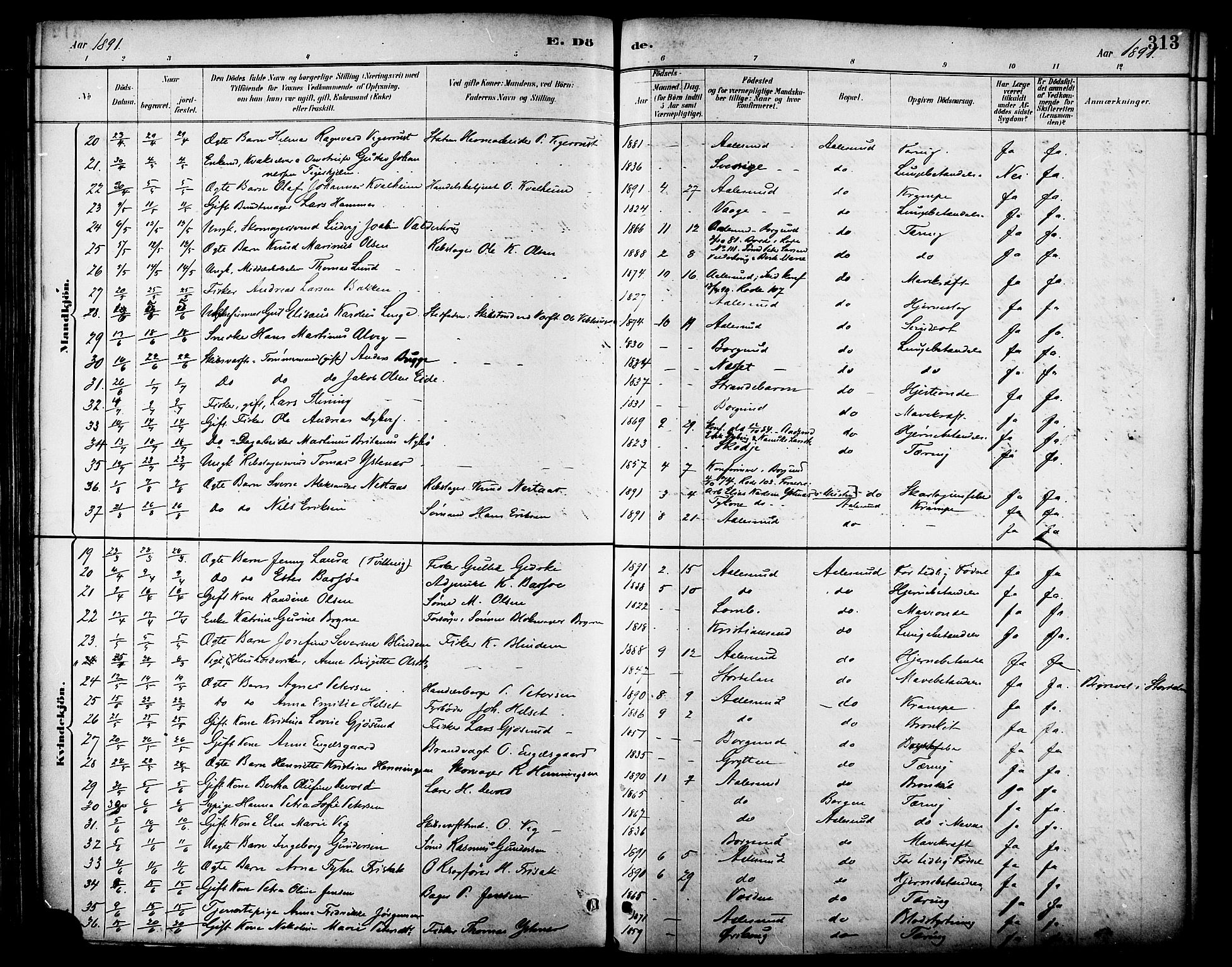 Ministerialprotokoller, klokkerbøker og fødselsregistre - Møre og Romsdal, AV/SAT-A-1454/529/L0455: Parish register (official) no. 529A05, 1885-1893, p. 313