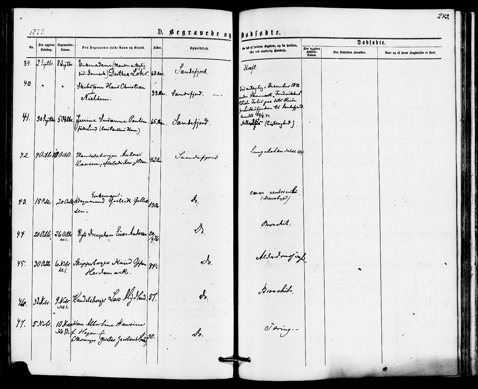 Sandefjord kirkebøker, SAKO/A-315/F/Fa/L0001: Parish register (official) no. 1, 1873-1879, p. 243