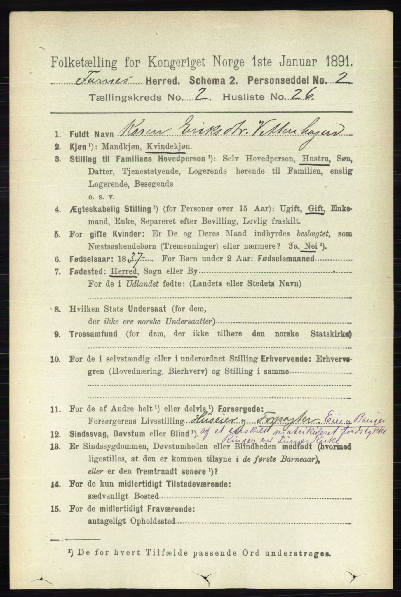 RA, Census 1891 for 0413 Furnes herred, 1891, p. 971