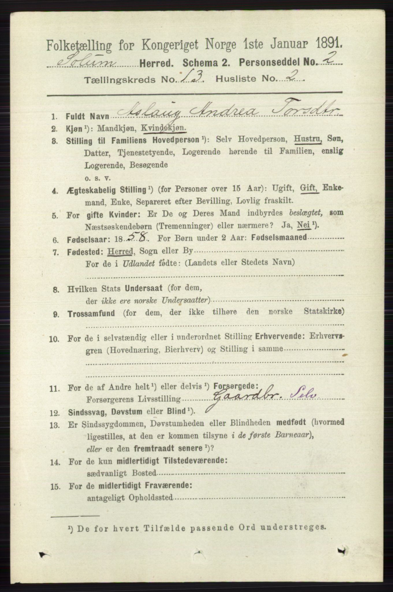 RA, 1891 census for 0818 Solum, 1891, p. 6064