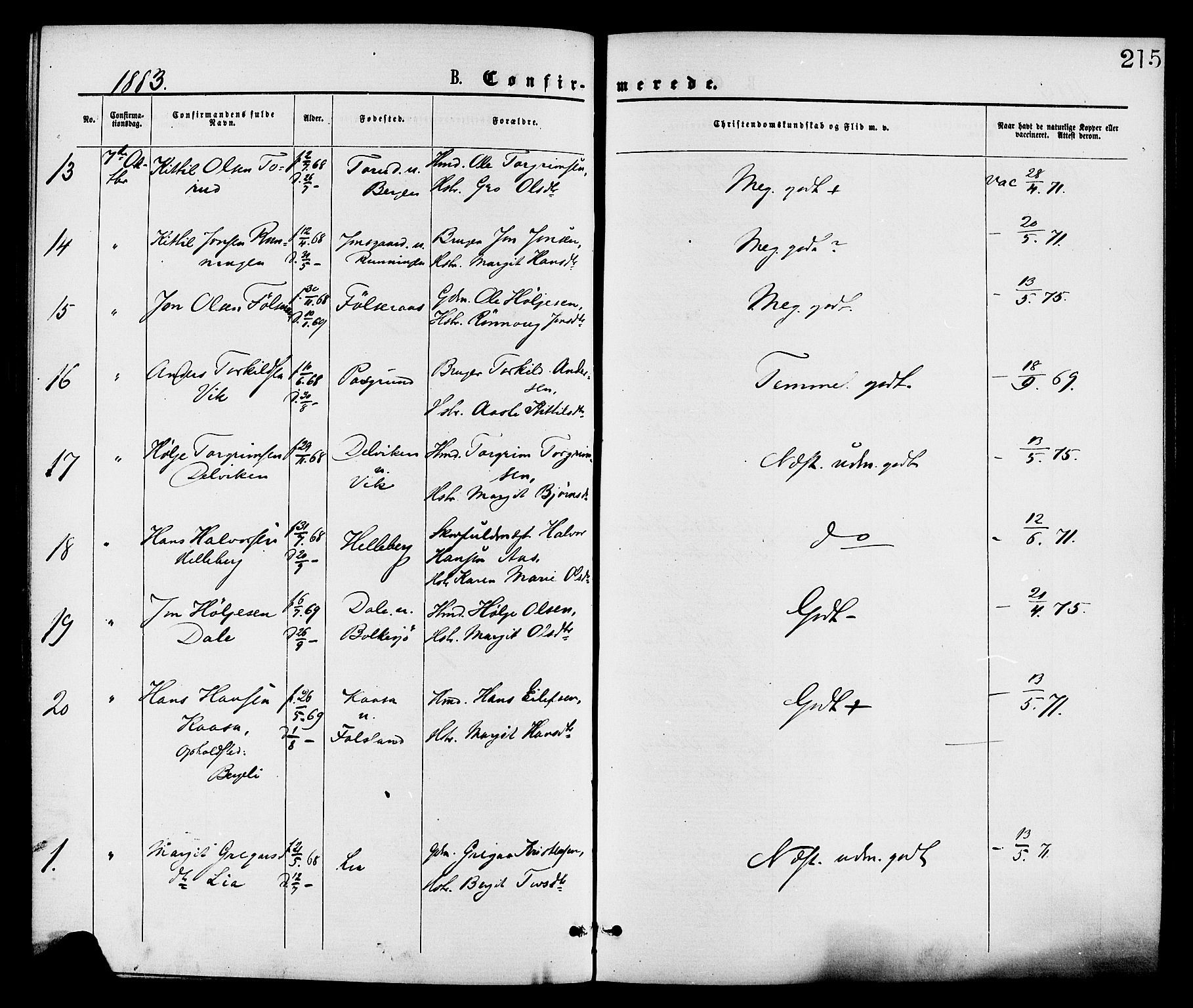 Gransherad kirkebøker, SAKO/A-267/F/Fa/L0004: Parish register (official) no. I 4, 1871-1886, p. 215
