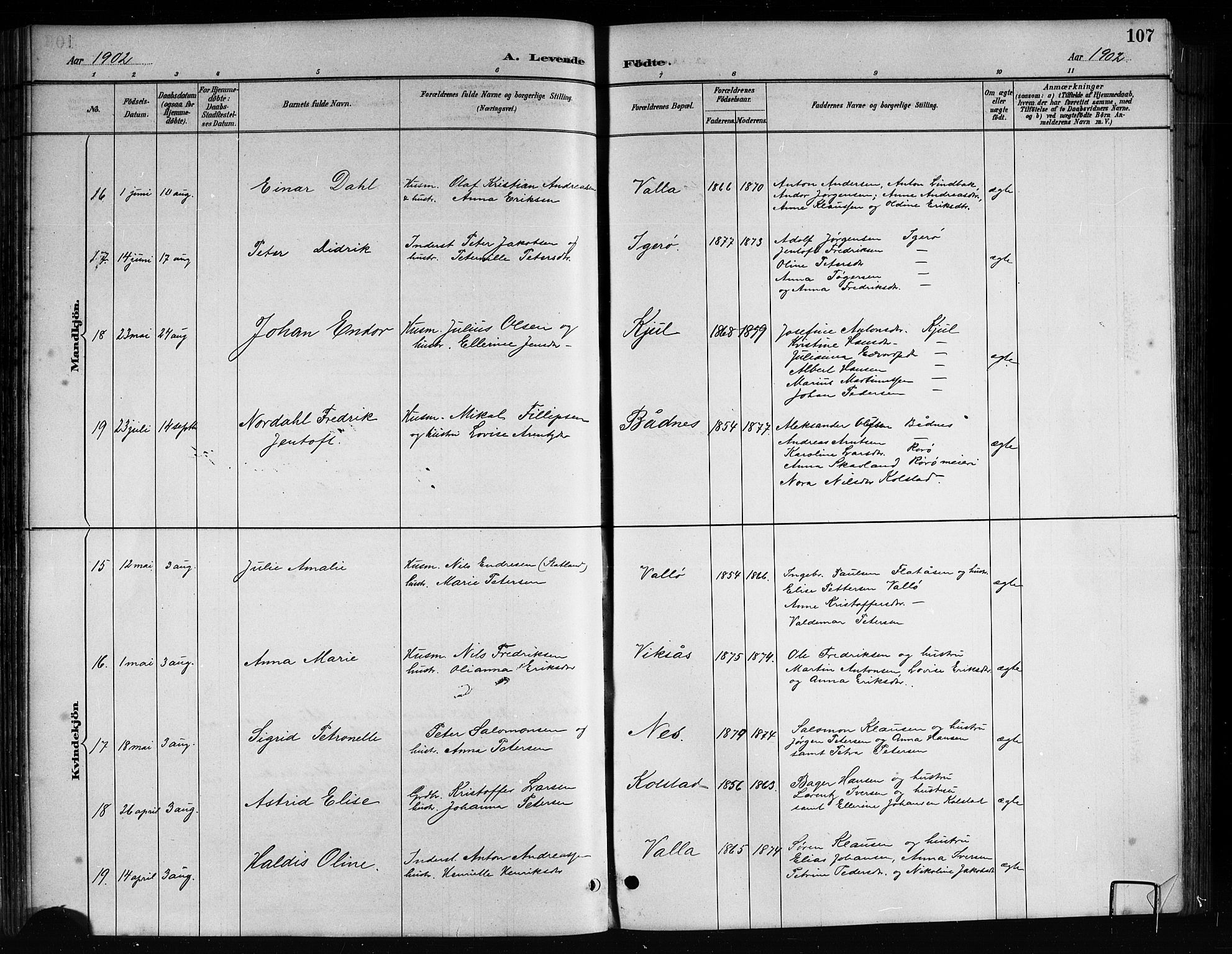 Ministerialprotokoller, klokkerbøker og fødselsregistre - Nordland, AV/SAT-A-1459/816/L0253: Parish register (copy) no. 816C03, 1886-1905, p. 107