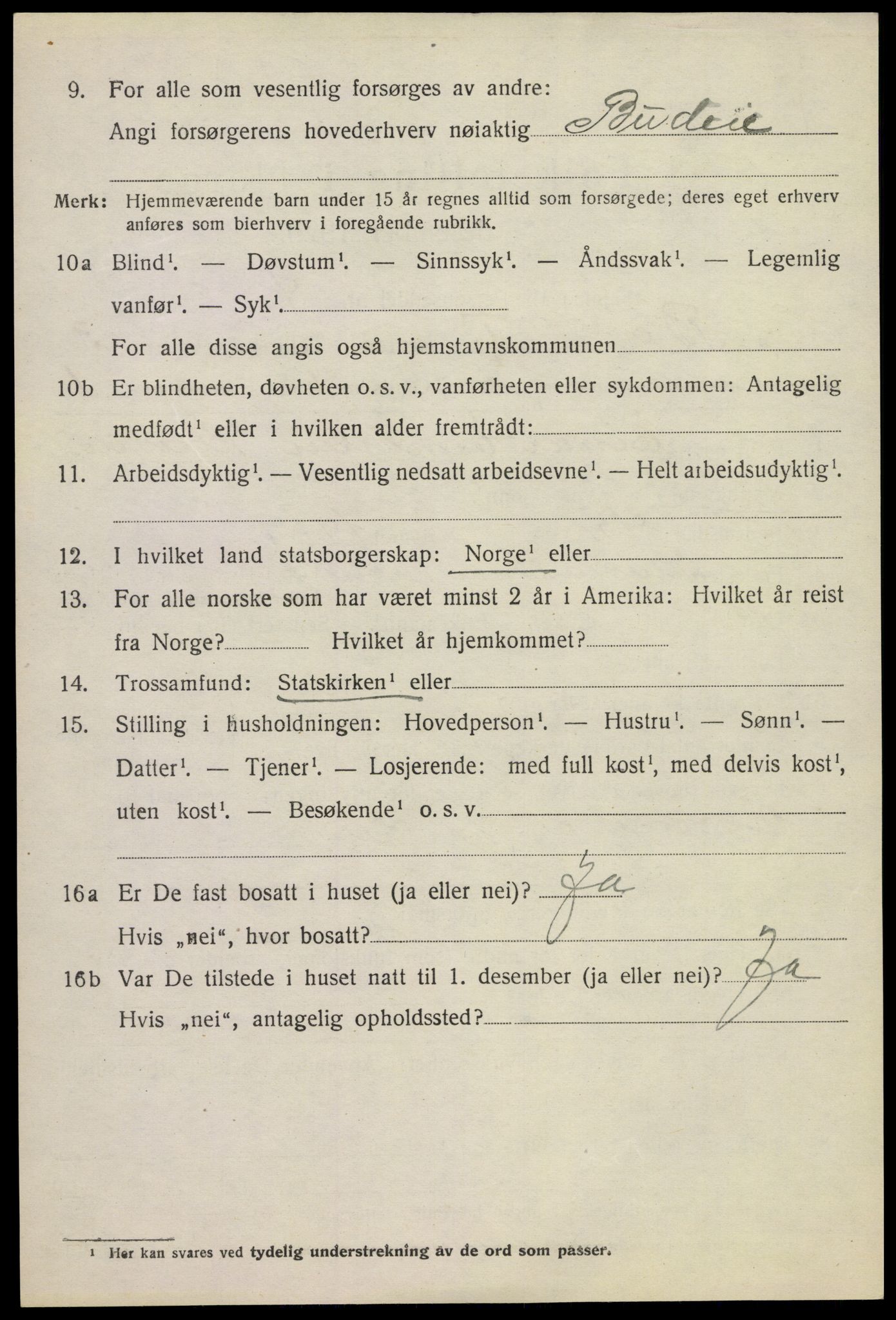 SAKO, 1920 census for Bø (Telemark), 1920, p. 2733