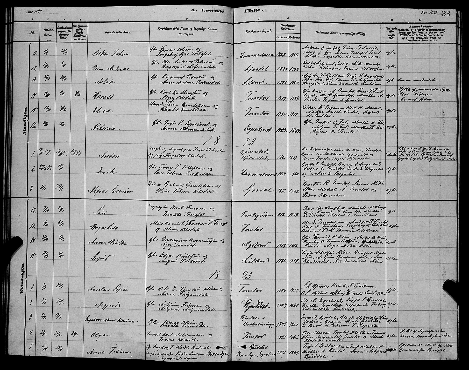 Sirdal sokneprestkontor, AV/SAK-1111-0036/F/Fb/Fbb/L0003: Parish register (copy) no. B 3, 1878-1894, p. 33