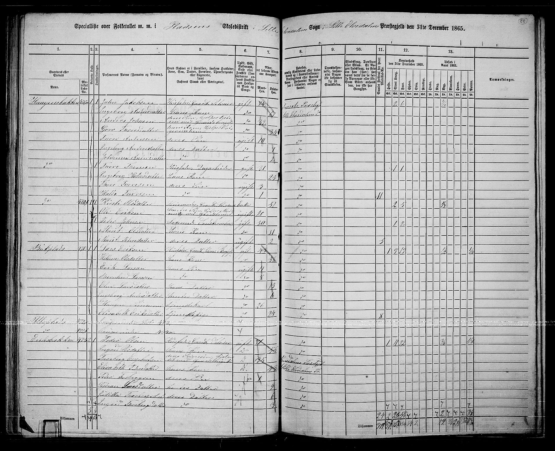 RA, 1865 census for Lille Elvedalen, 1865, p. 80