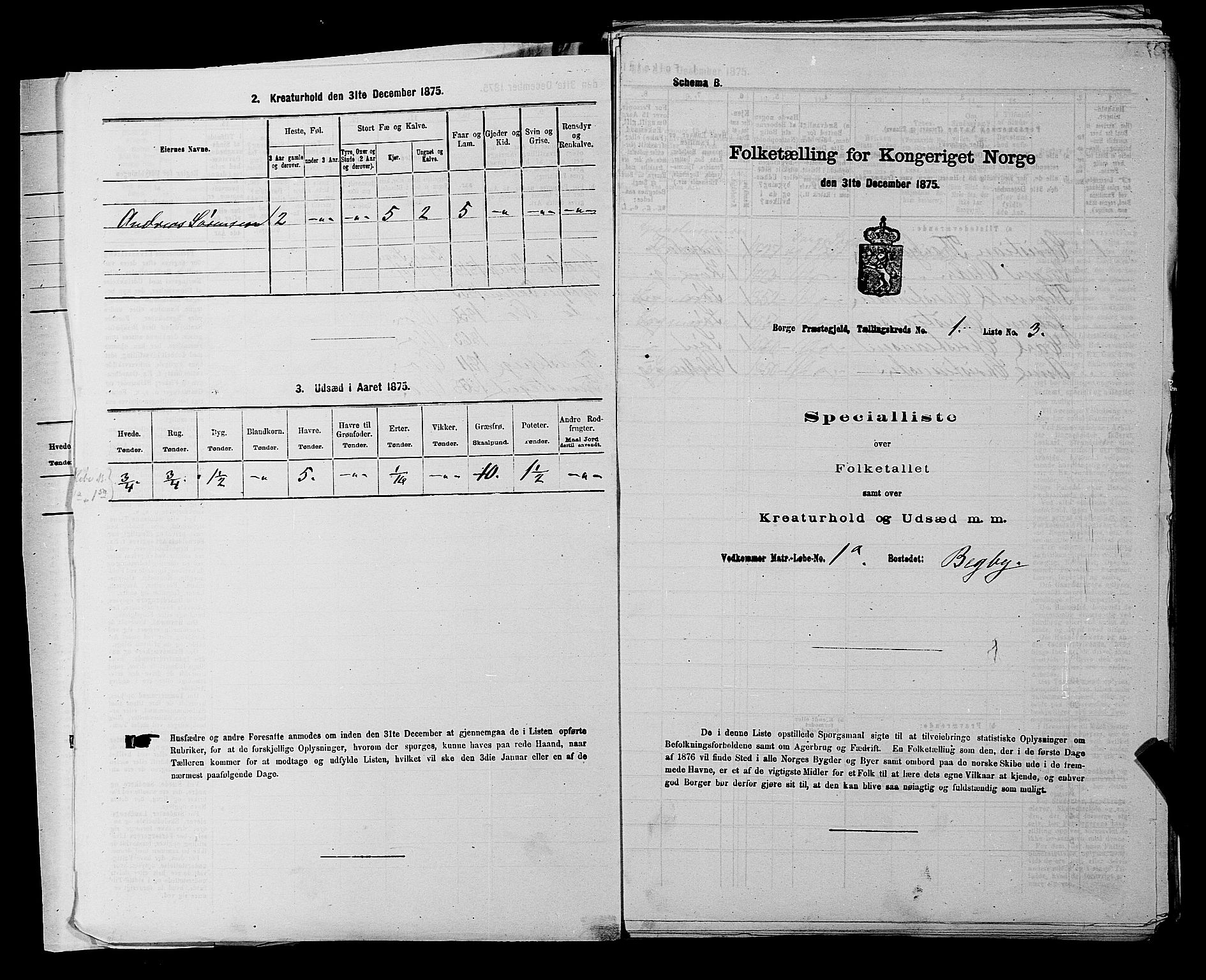 RA, 1875 census for 0113P Borge, 1875, p. 33