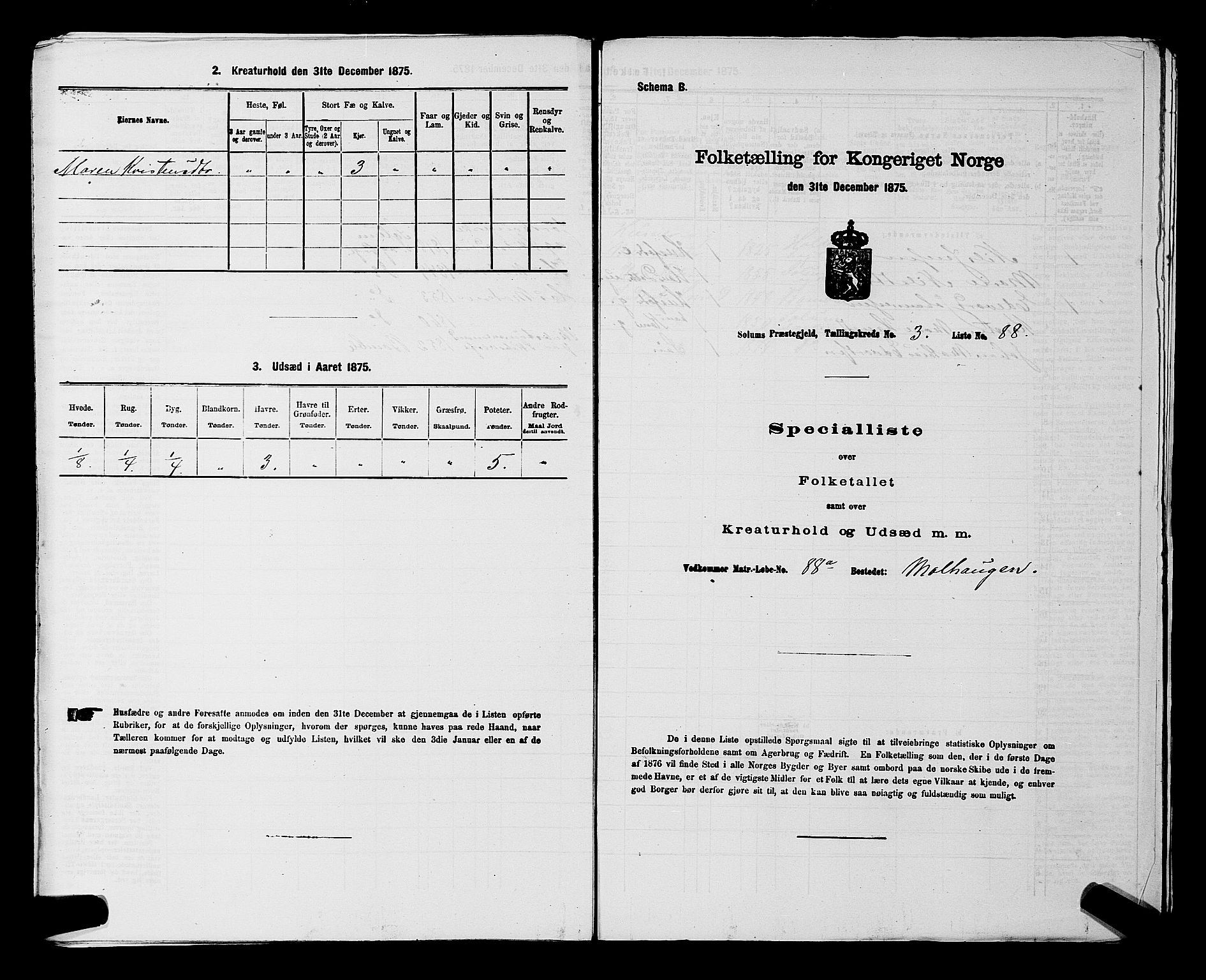 SAKO, 1875 census for 0818P Solum, 1875, p. 650