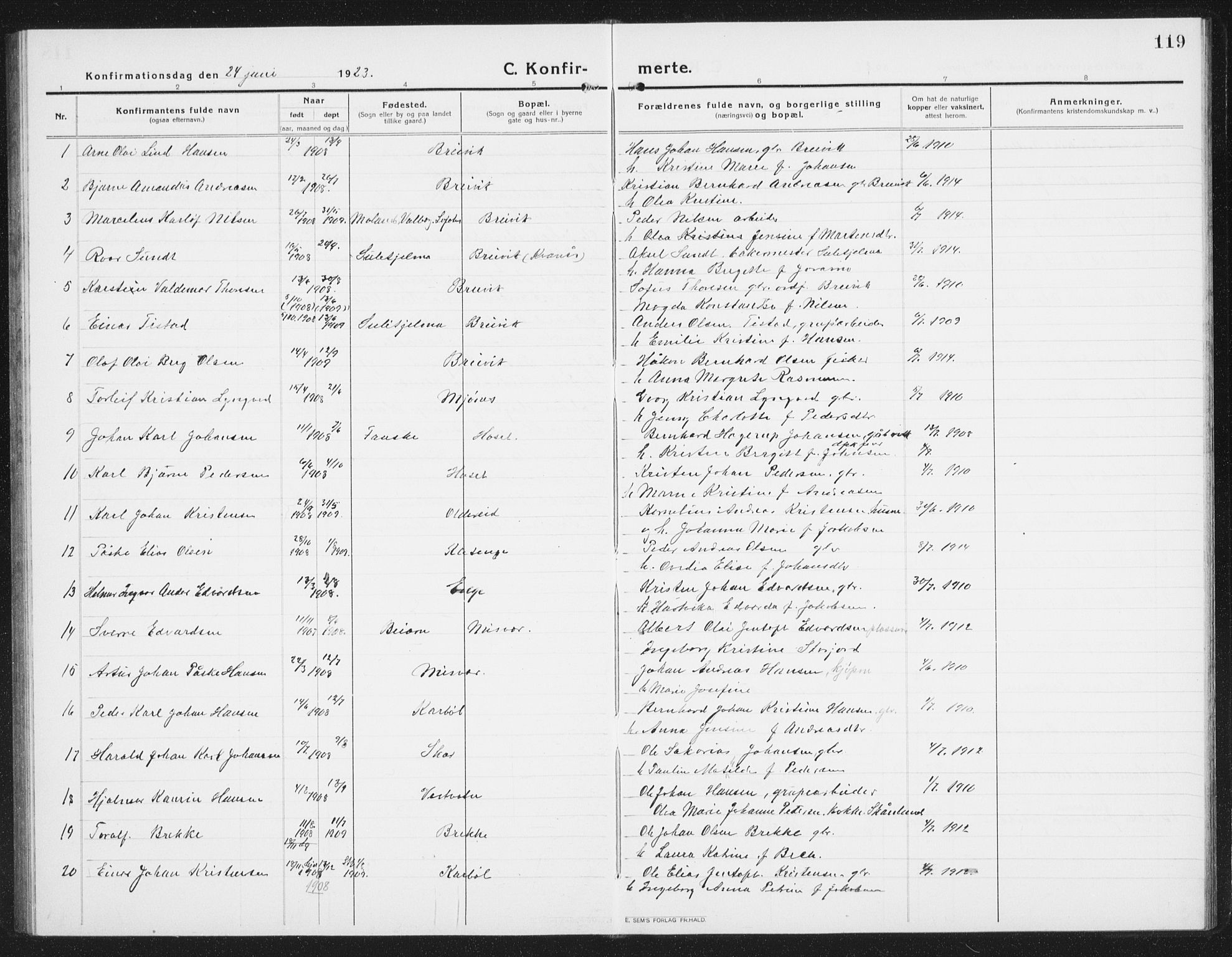 Ministerialprotokoller, klokkerbøker og fødselsregistre - Nordland, AV/SAT-A-1459/852/L0757: Parish register (copy) no. 852C08, 1916-1934, p. 119