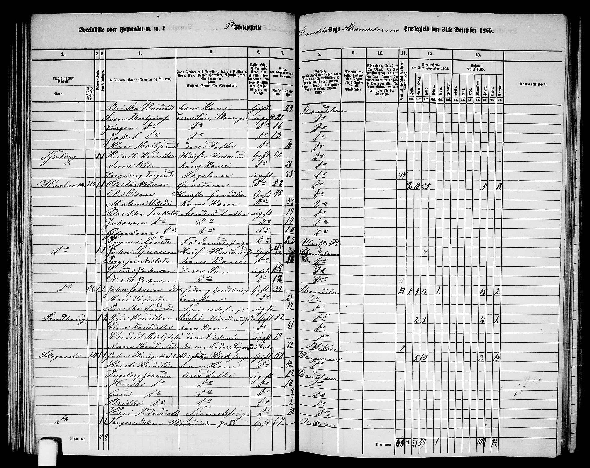 RA, 1865 census for Strandebarm, 1865, p. 77